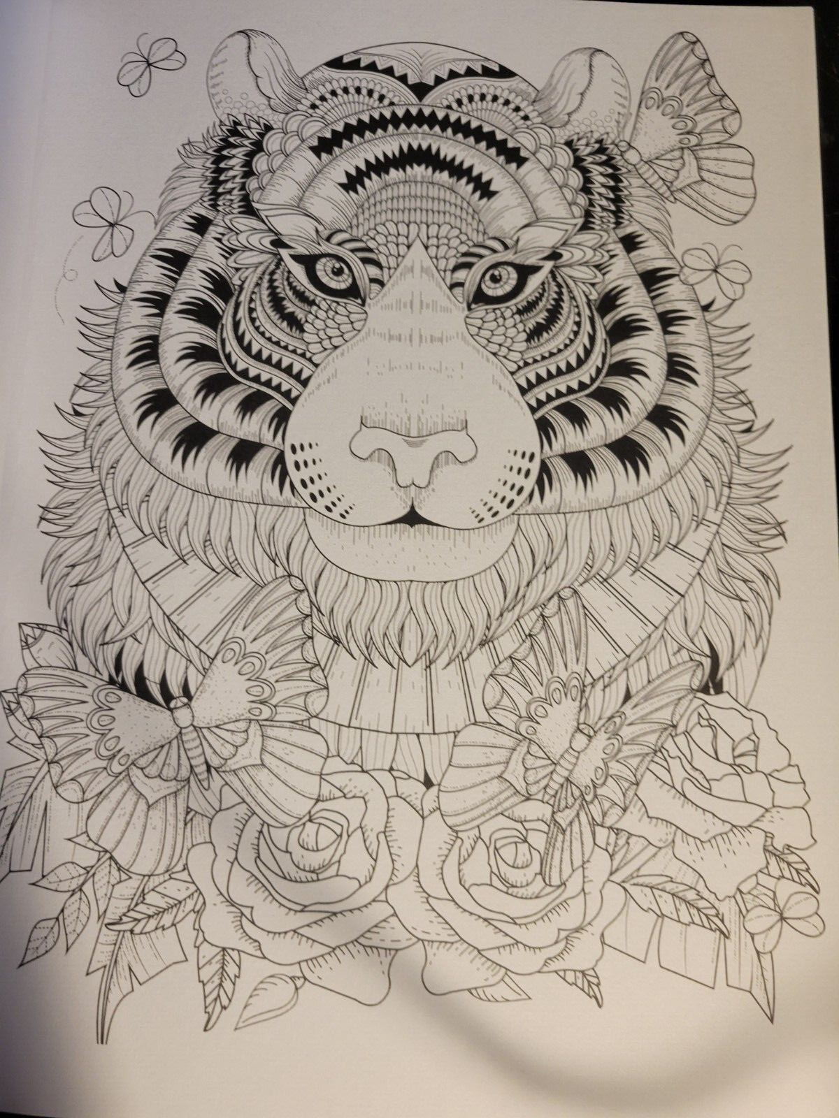 MAGNIFICENT CREATURES Vol 13 Adult Coloring Book by TOPIX MEDIA – 47 PRINTS