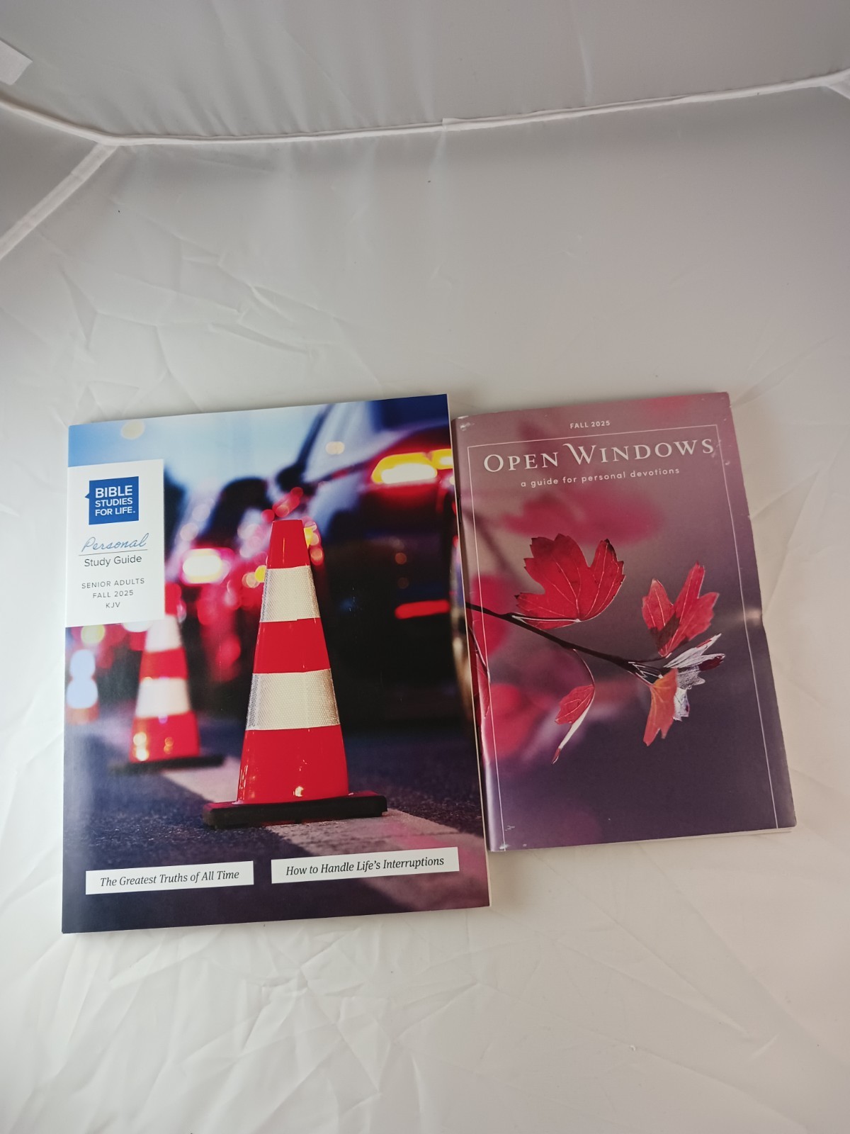 Open Windows Devotions Fall 2025 & Bible Studies For Life Study Guide, 2 Books