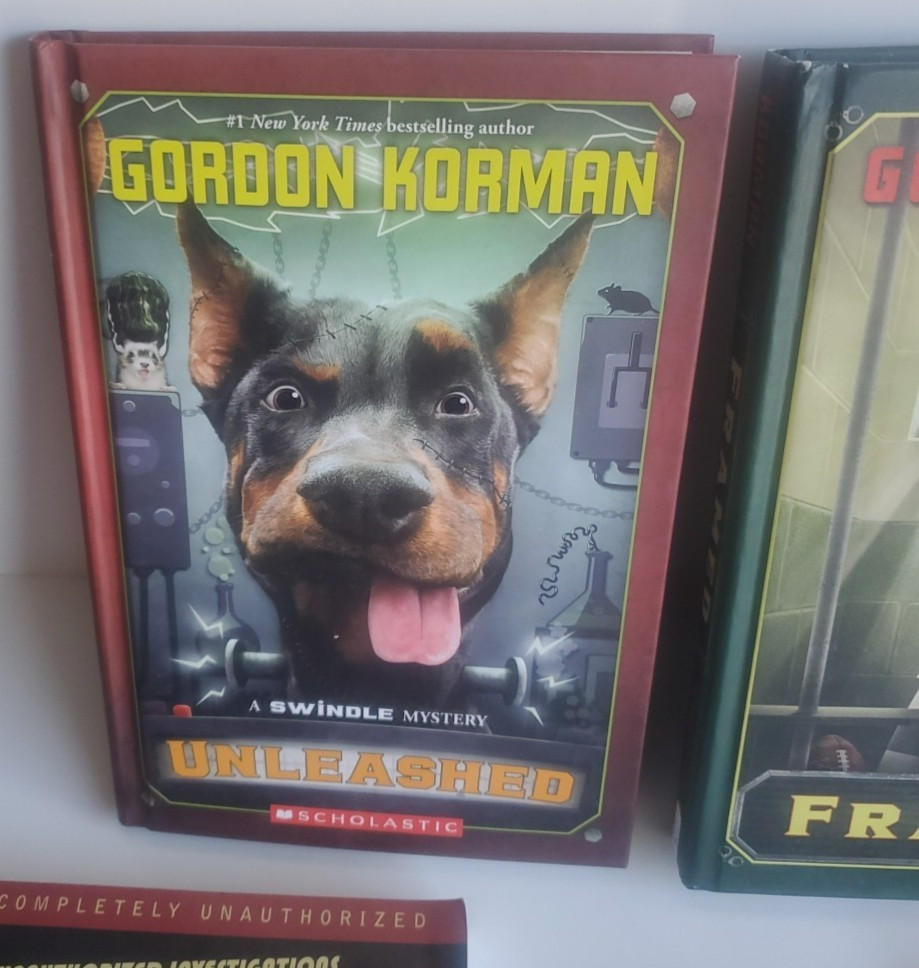 Lot of 14 Books 4 are GORDON KORMAN’s Children Books Series Reading level 6-7