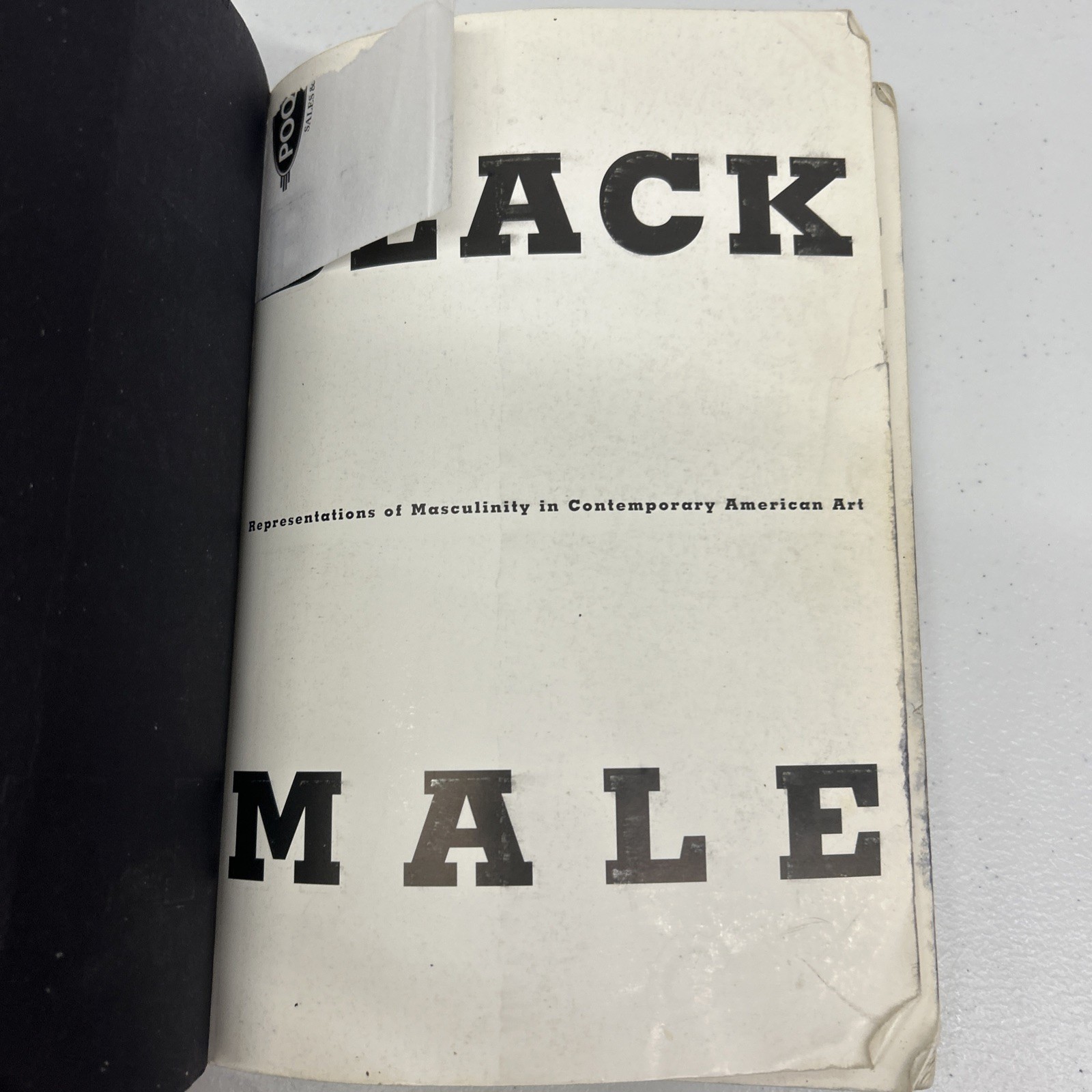 Black Male : Representations of Masculinity in Contemporary American Art by…