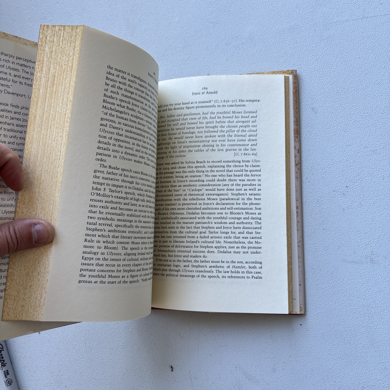 JOYCE’S ULYSSES: AN ANATOMY OF THE SOUL By Theoharis Constantine Theoharis