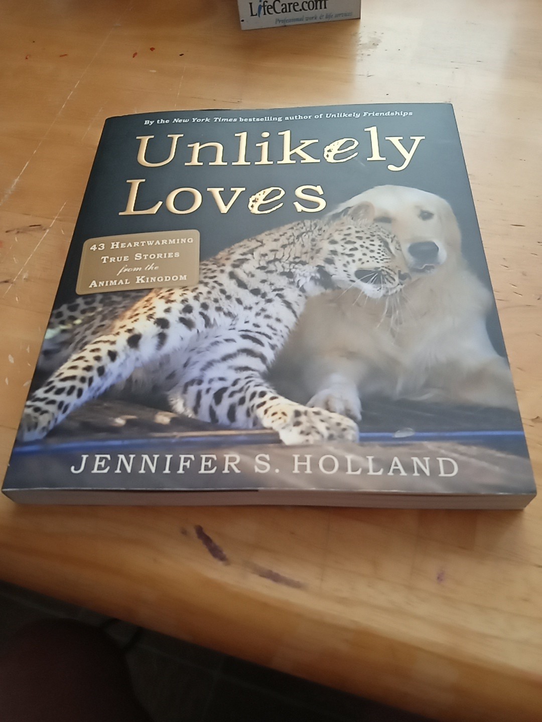 Unlikely Loves By Jennifer S. Holland (Paperback, 2013) 43 True Stories
