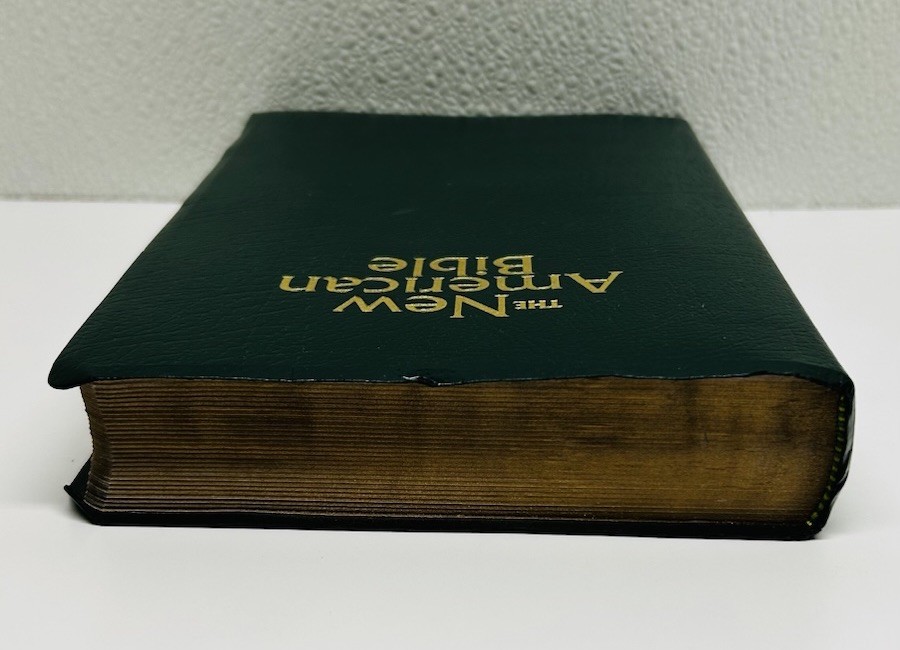 Green THE NEW AMERICAN BIBLE~Official Catholic World Press Bible book~c.2011
