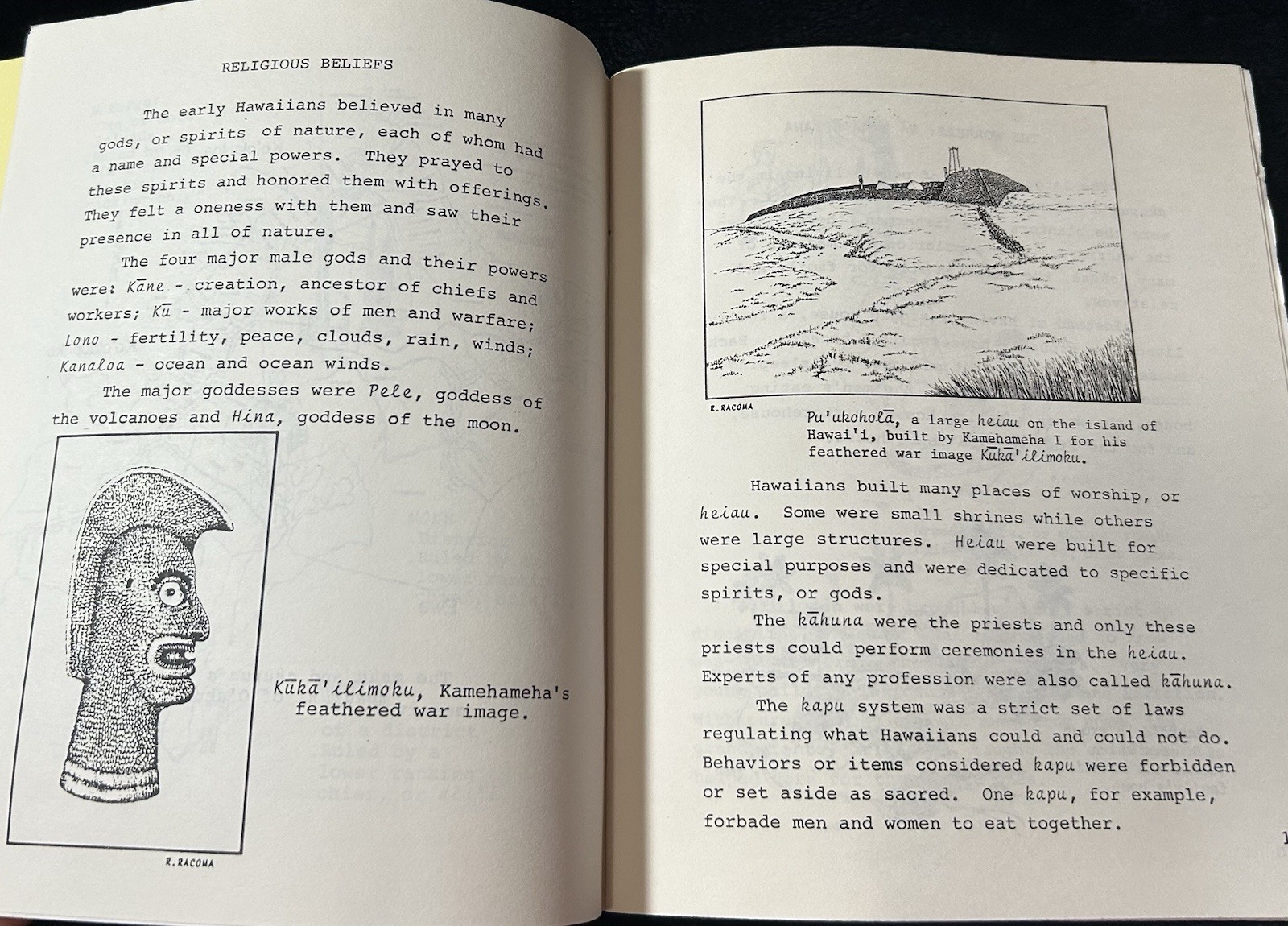 2 Hawaii Juv History BEHOLD HAWAII and HAWAII NEI Julie Stewart Williams 1999
