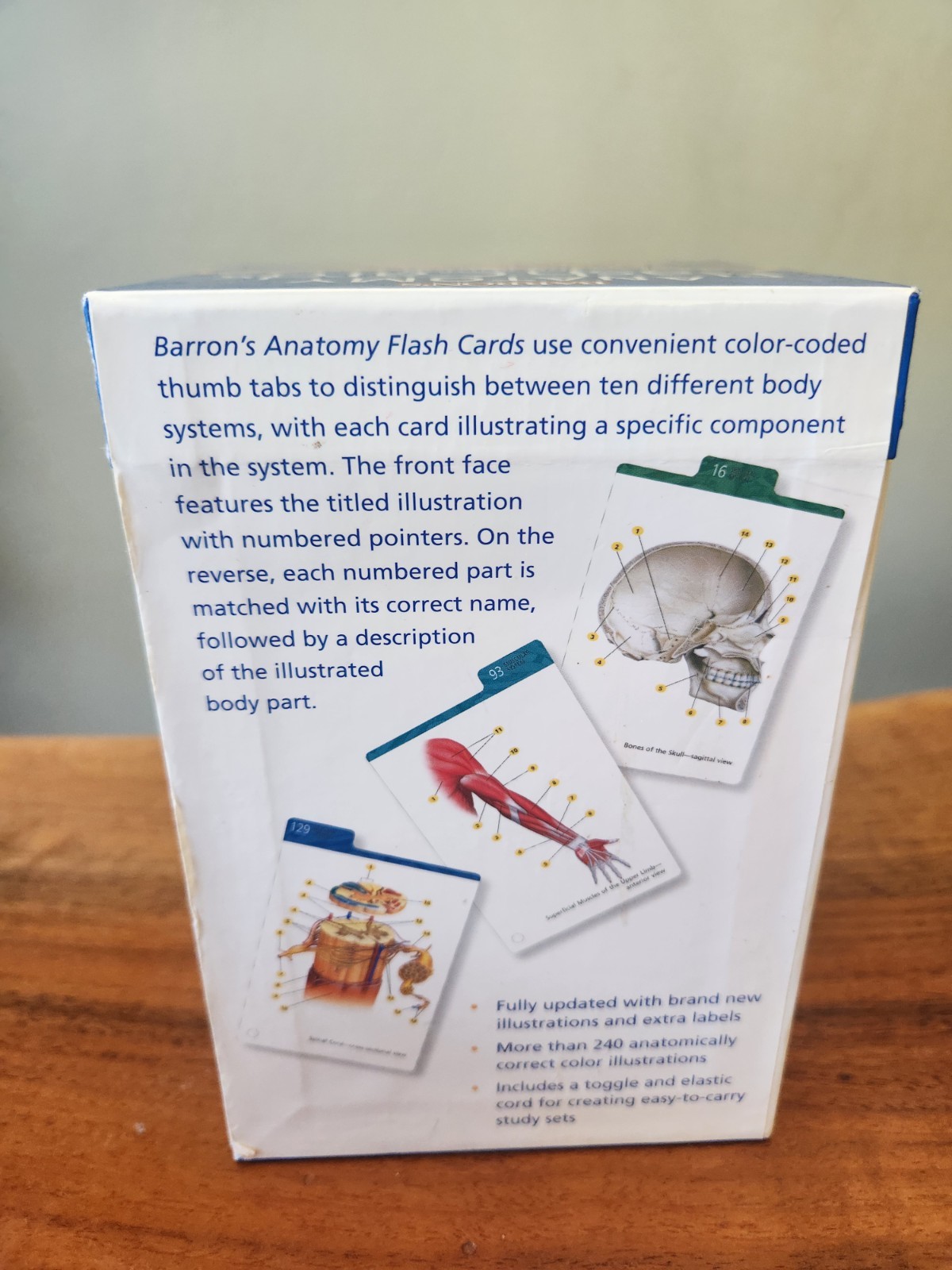 Barron’s Anatomy Flash Cards by Kurt Albertine (2008, Cards,Flash Cards)