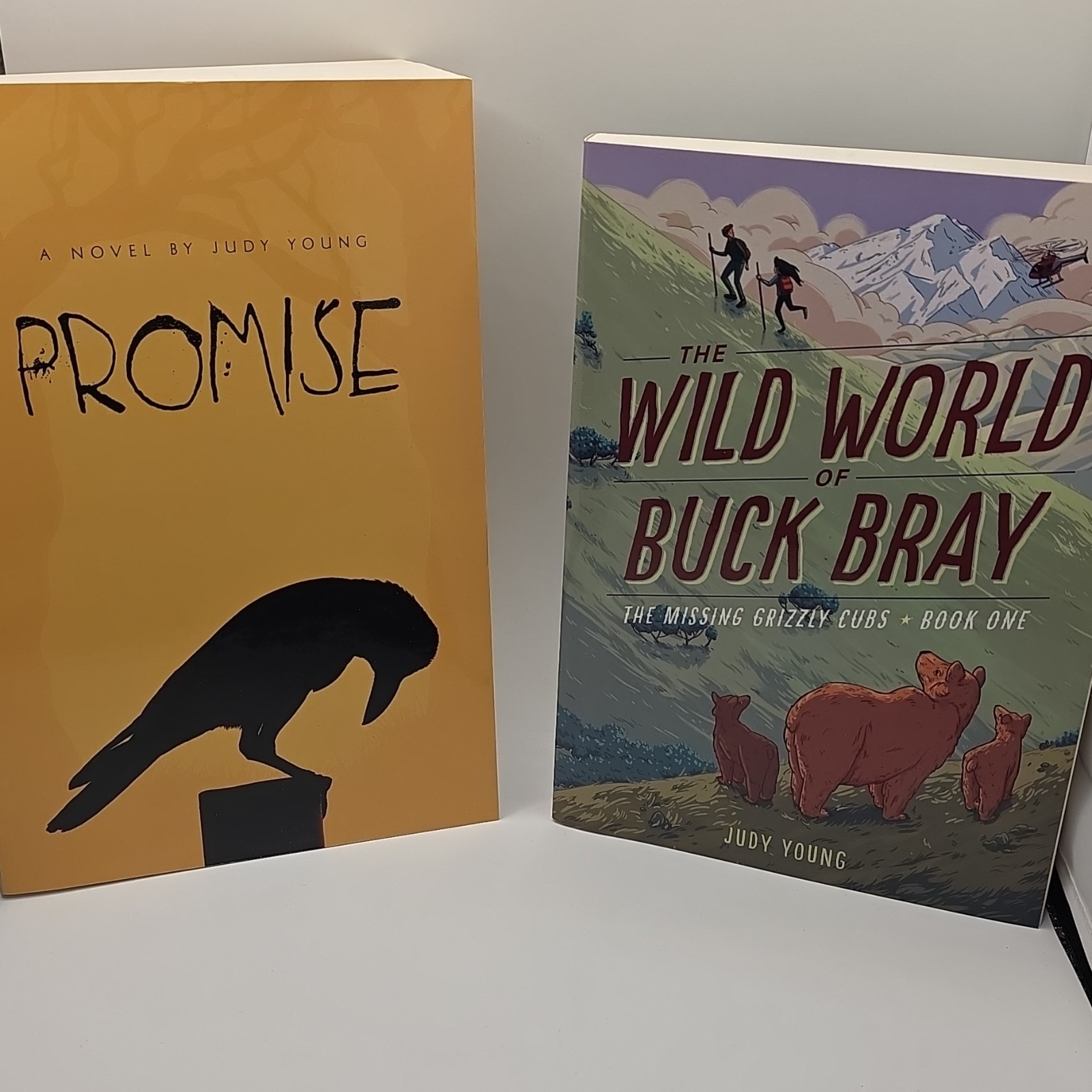 Judy Young Book Lot Promise 2016 Paperback Sleeping Bear Press Juvenile Fiction