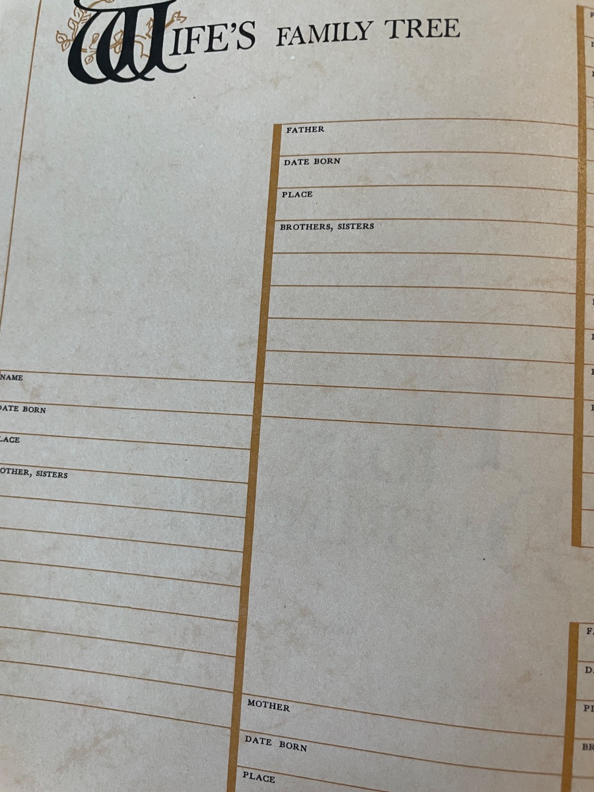 NELSON FAMILY REFERENCE BIBLE 158BG BURGUNDY GOLD EDGE PAGES RIBBON MARKER