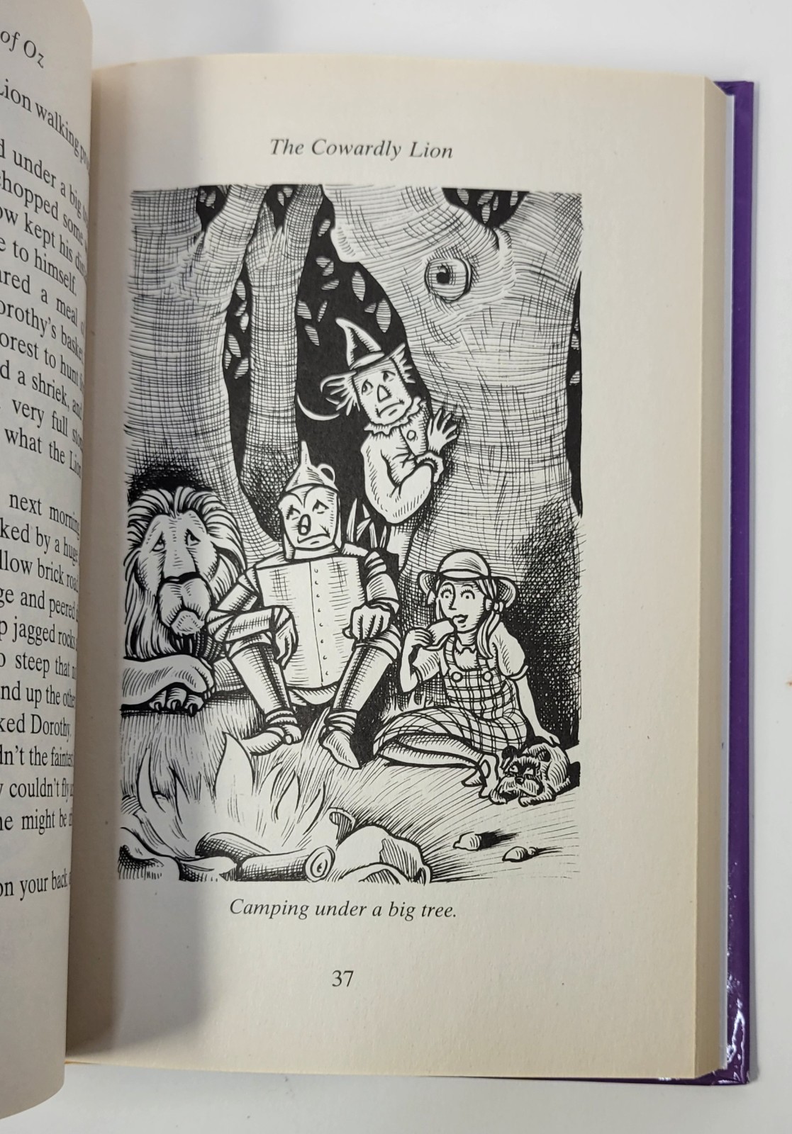 The Wizard of Oz – LF. Baum – Illustrated By Andrew Hopgood 2008 (Hardcover)