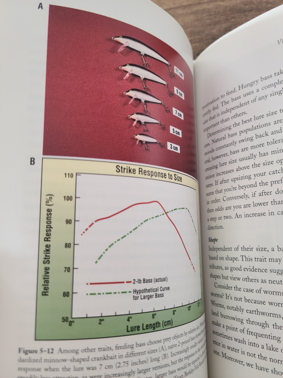 Knowing Bass book, Written by Keith A. Jones, Ph,D. Published by The Lyons Press