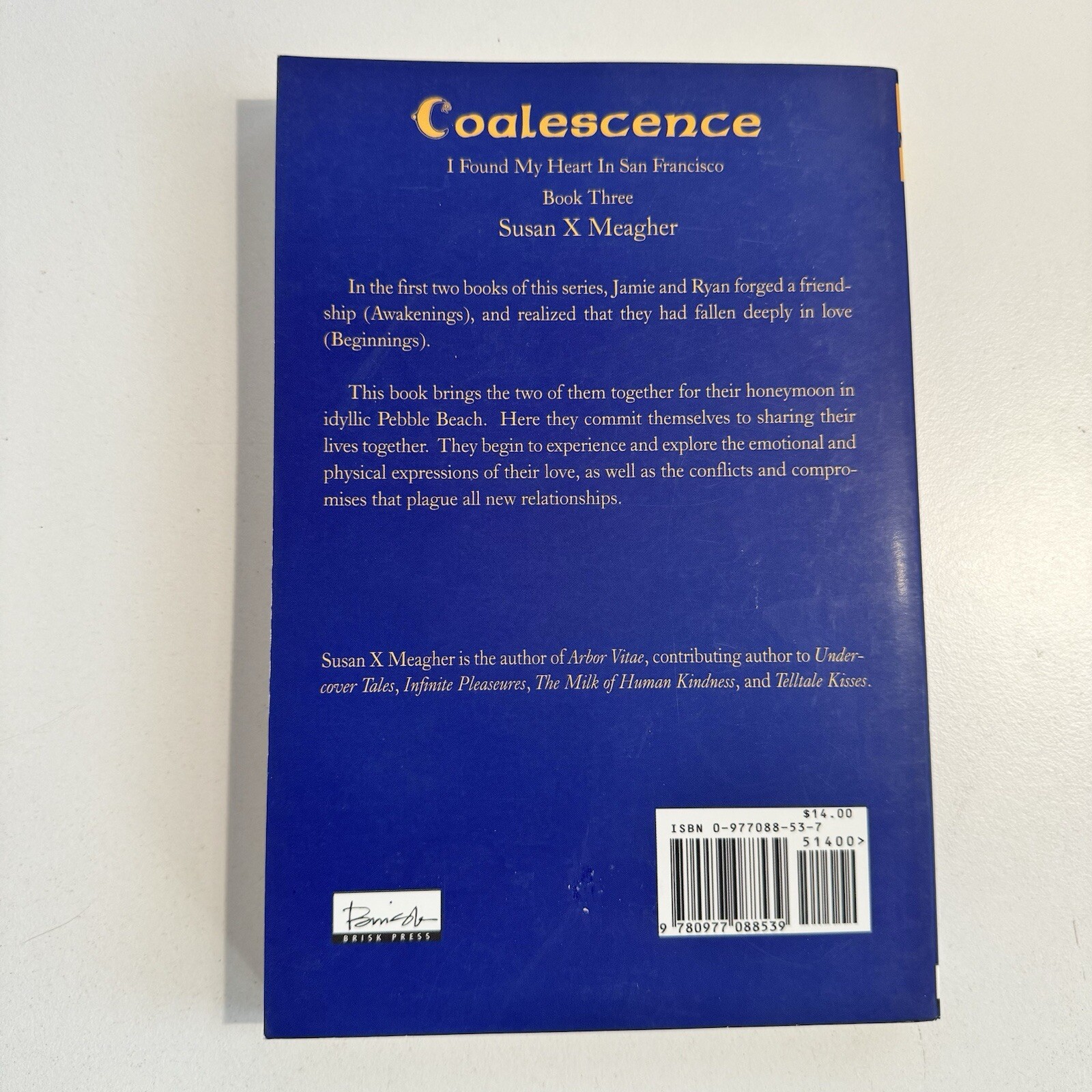 Rare 5 x I Left My Heart In San Francisco Book Series 3 4 5 6 7 Susan X Meagher