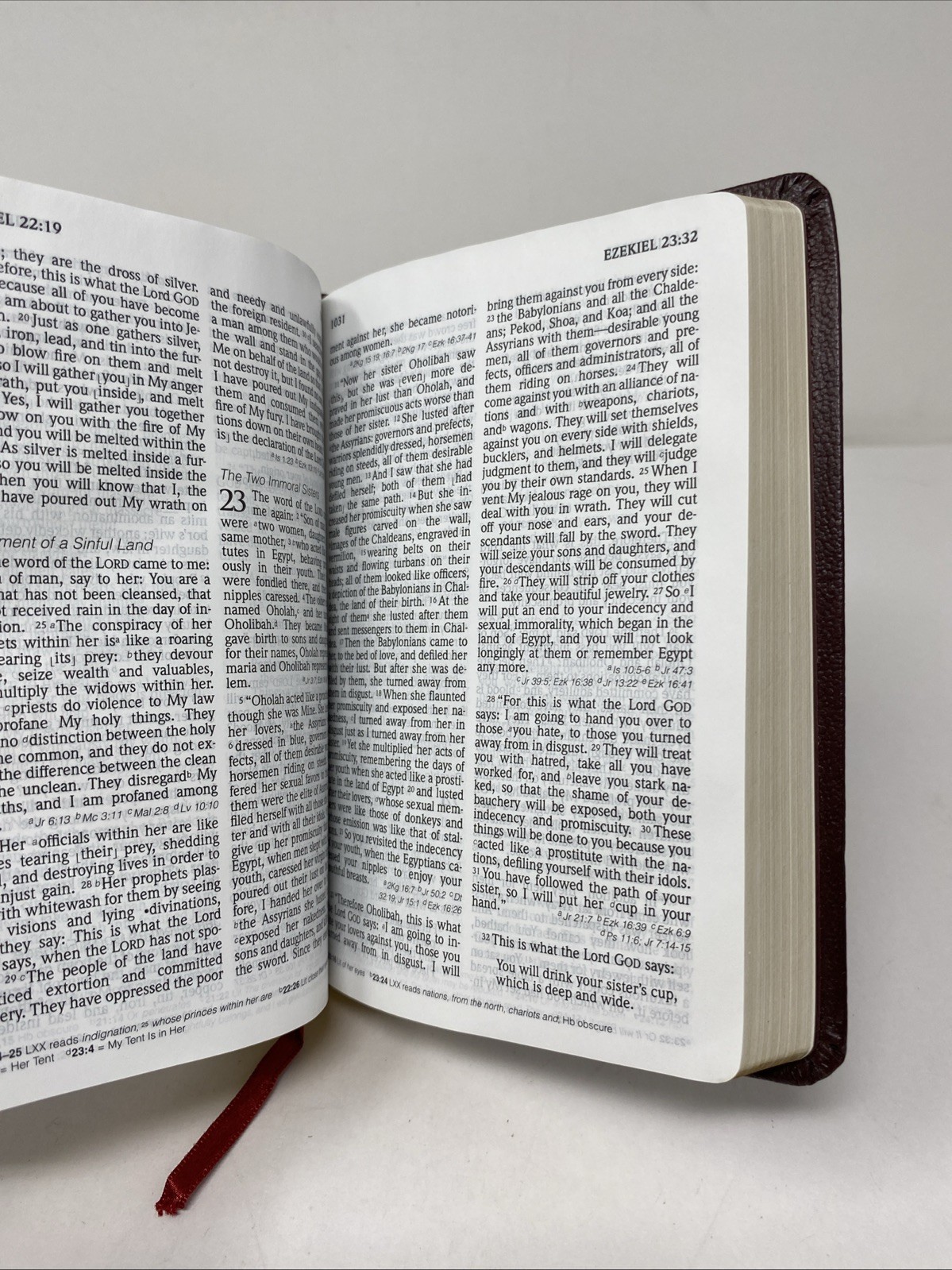 HCSB Large Print Compact Bible • Burgundy Bonded Leather (2005, Holman)