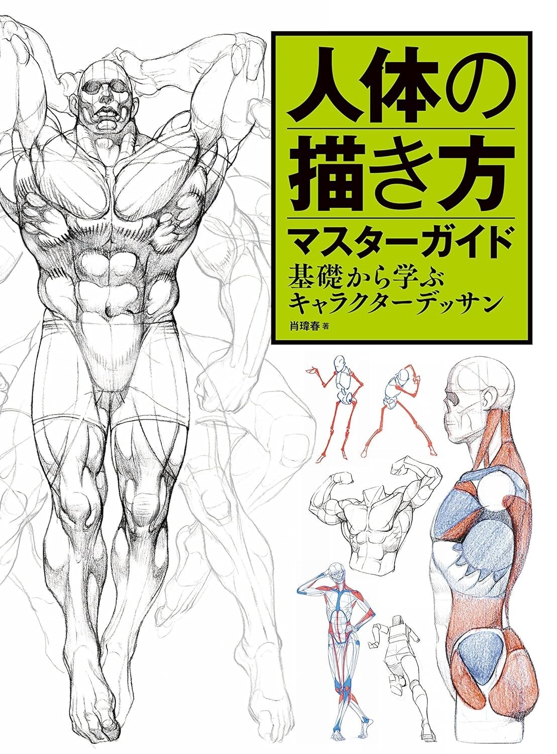 ”New” How to Draw the Human Body Master Guide Japan Manga Illustrations Art Book
