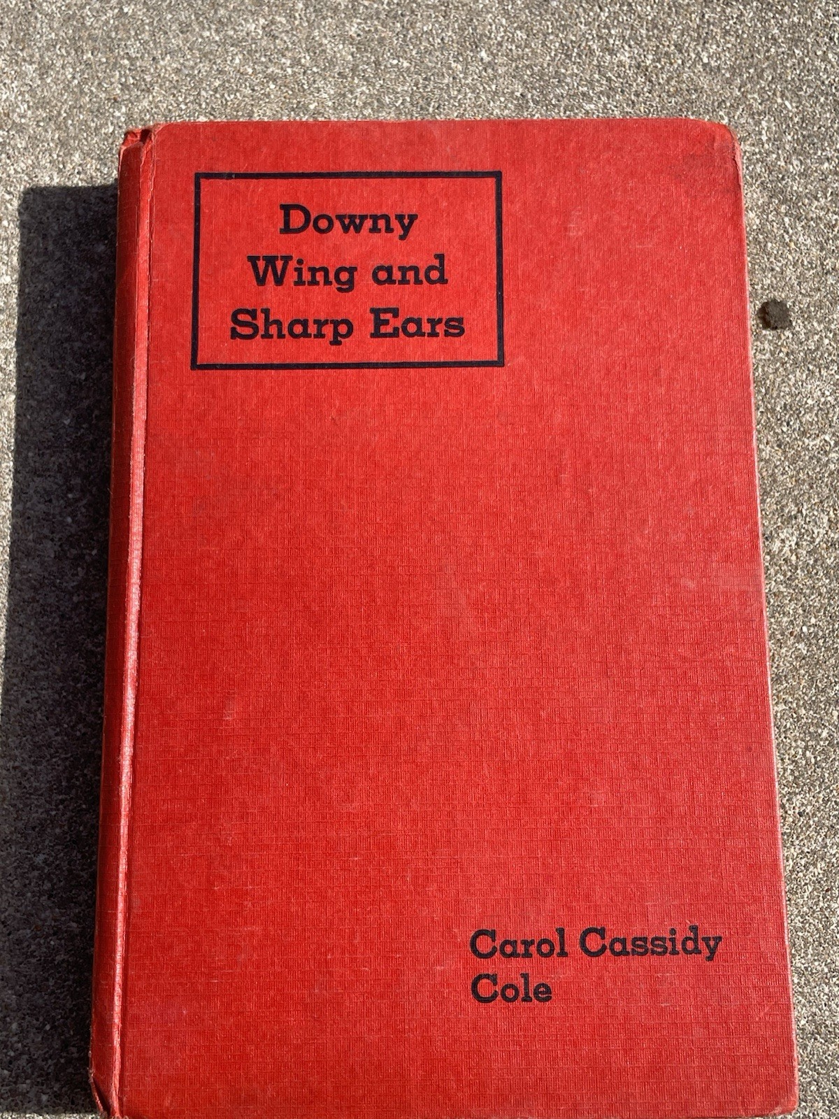 Lot 3 Goldsmith Carol Cassidy Cole Childrens Books Vintage 1928 Hardcovers 1st