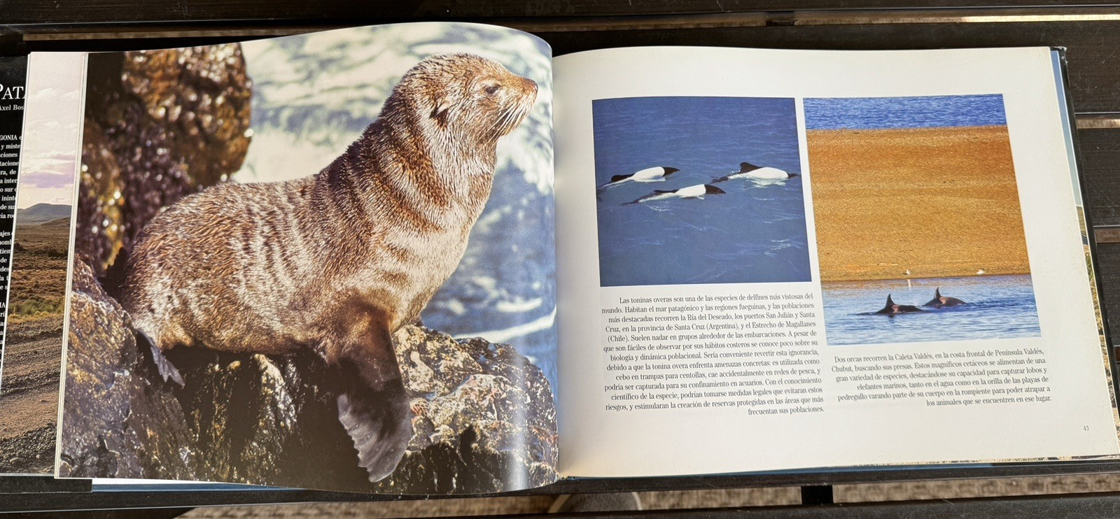 Spanish Version Patagonia Book Axel Bos, Rivademar Hardcover VGUC 2001