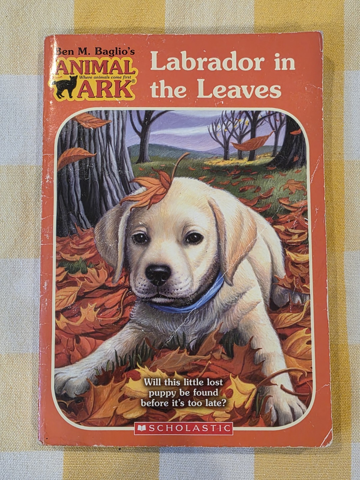 Lot 10 Animal Ark Books Puppies Dog Hound Terrier Spaniel Labrador Beagle