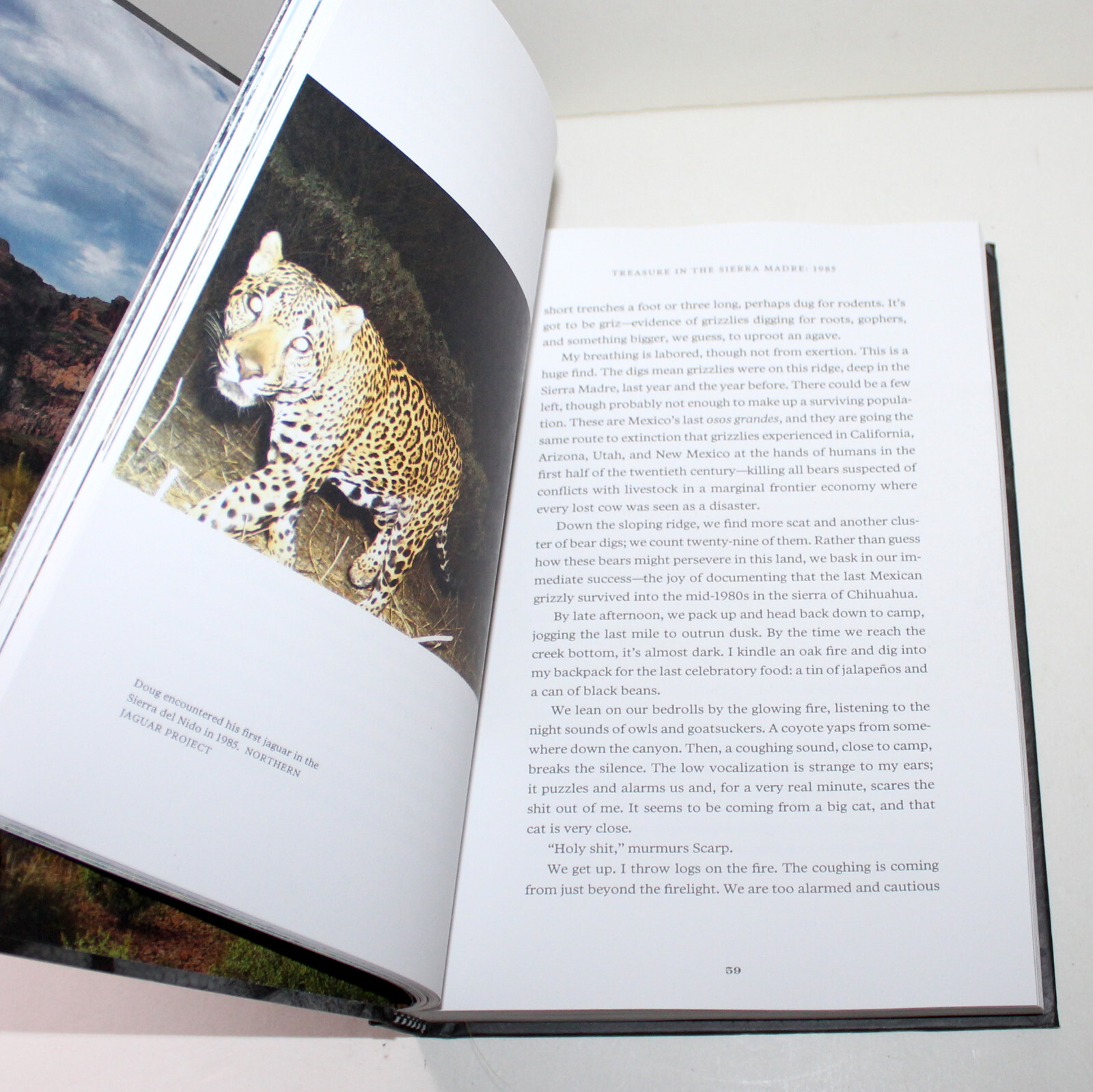 Was It Worth It? Doug Peacock 2022 Patagonia 1st Ed memoir wilderness nature