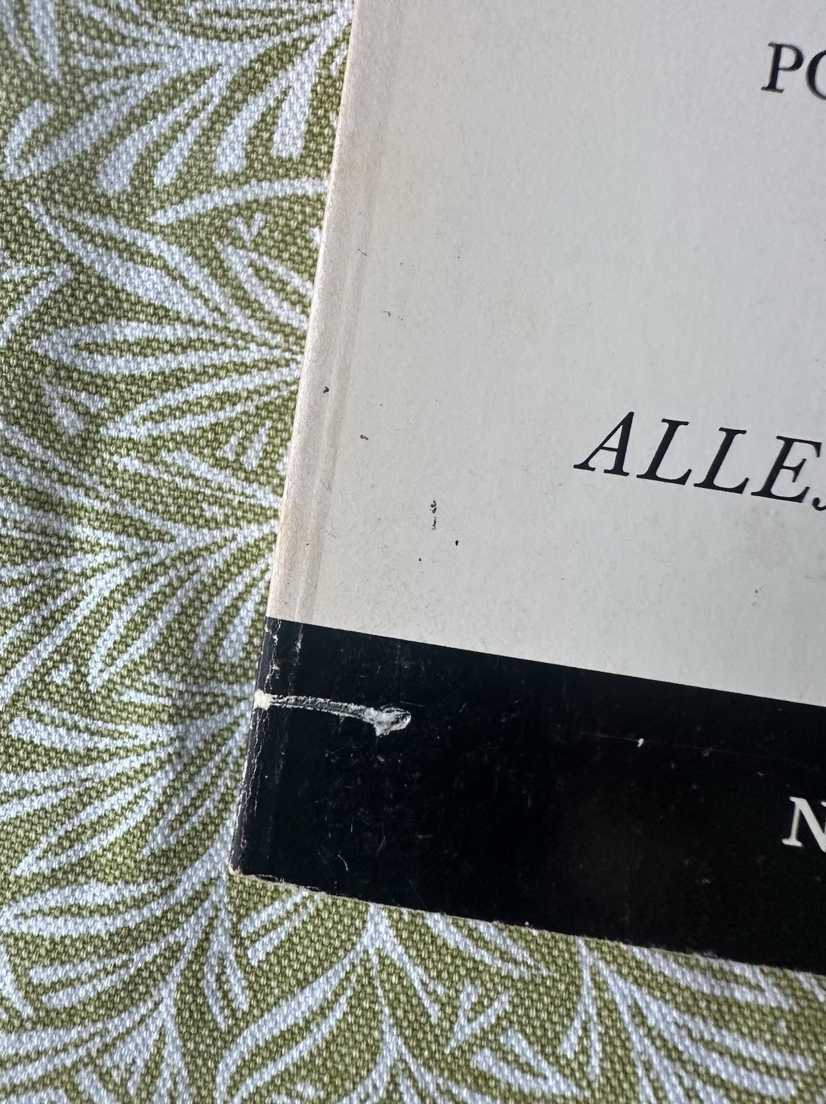 Mind Breaths: Poems 1972-1977 – Allen Ginsberg – 2nd Edition