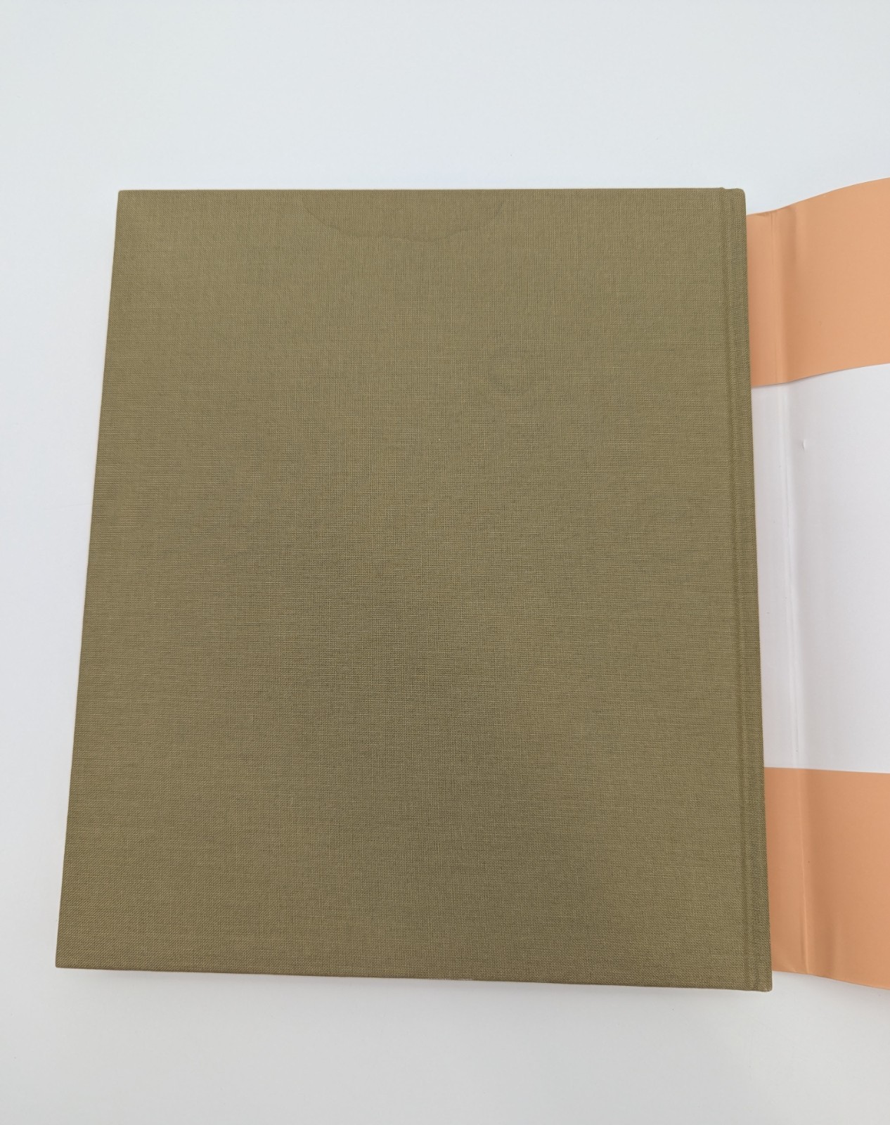 Gustave Baumann Nearer to Art Hardcover Book (1993)