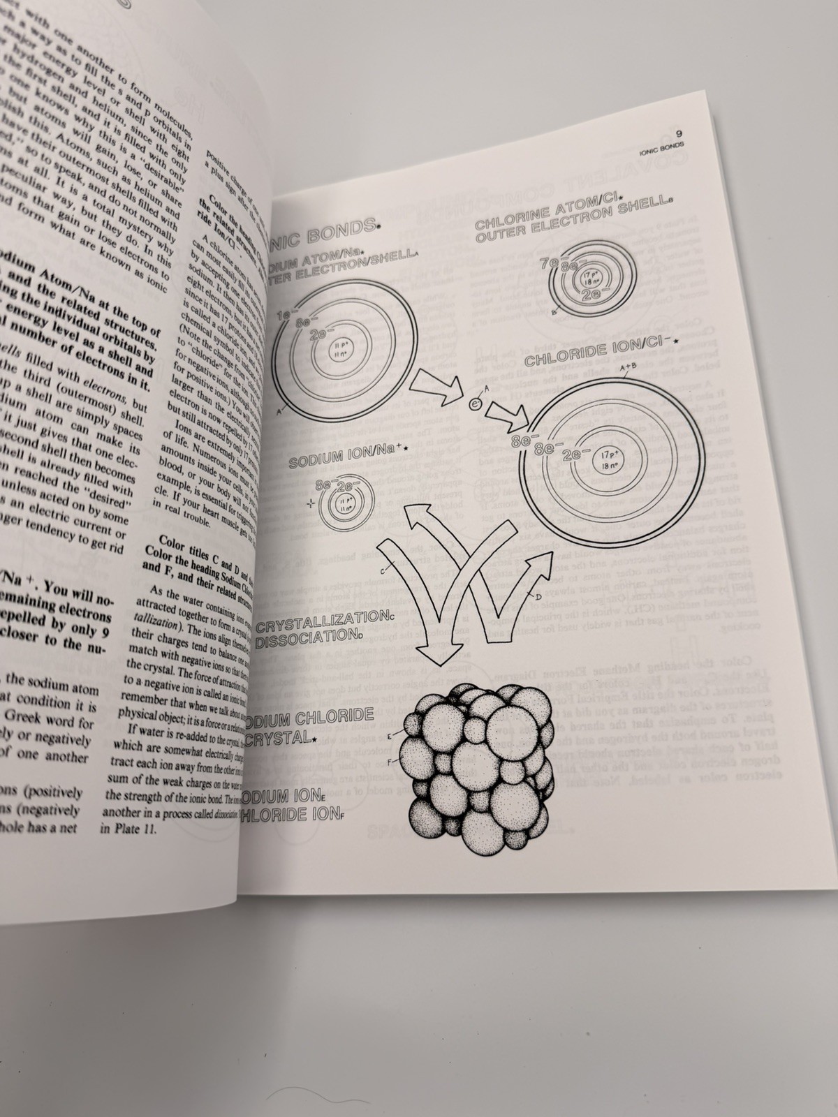 NEW The Biology Coloring Book Robert D. Griffin HarperResource