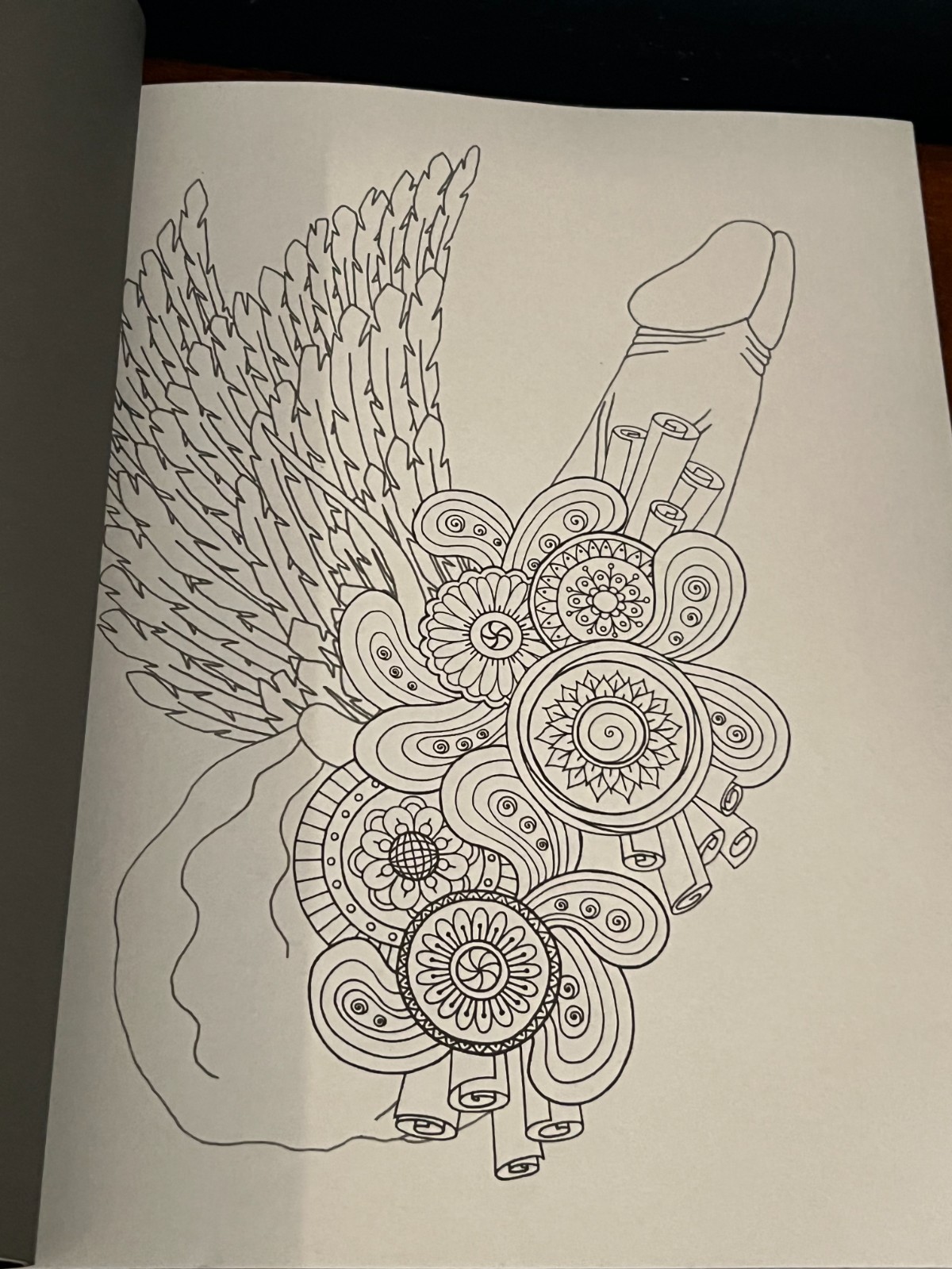 Colorful c*cks (Adult Coloring Books), Charlie Grant, Privately Published New