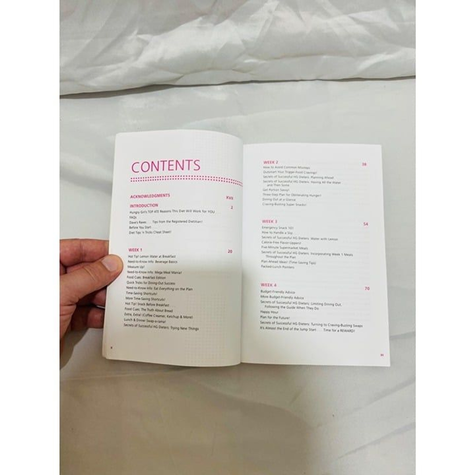 The Hungry Girl Diet Book Lisa Lillien St. Martins Griffin Press Paperback