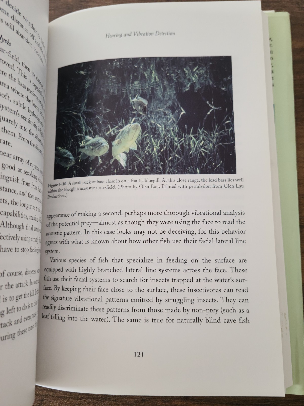 Knowing Bass book, Written by Keith A. Jones, Ph,D. Published by The Lyons Press