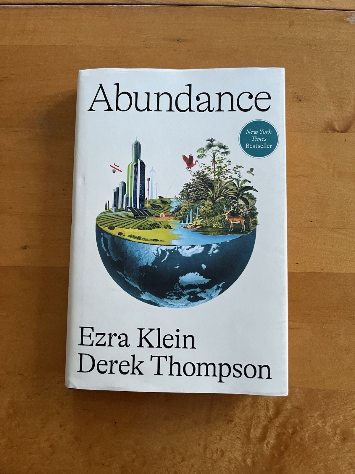 Abundance by Ezra Klein and Derek Thompson (2025, Hardcover)