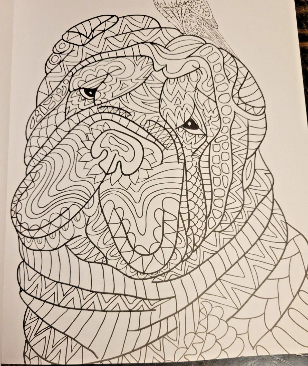 COLORING ANIMAL FRIENDS Vol 2 Adult Coloring Book With 47 Prints Ready To Frame