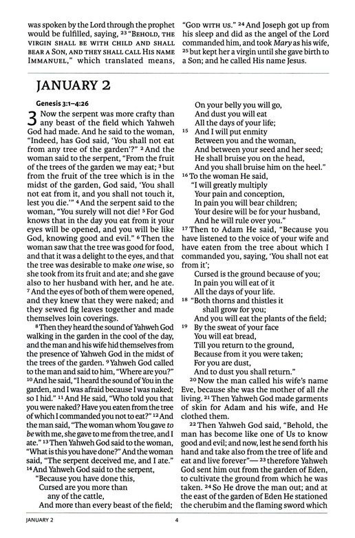 Legacy Standard Bible Daily Reading Bible Faux Leather Cedar ISBN 1636644171