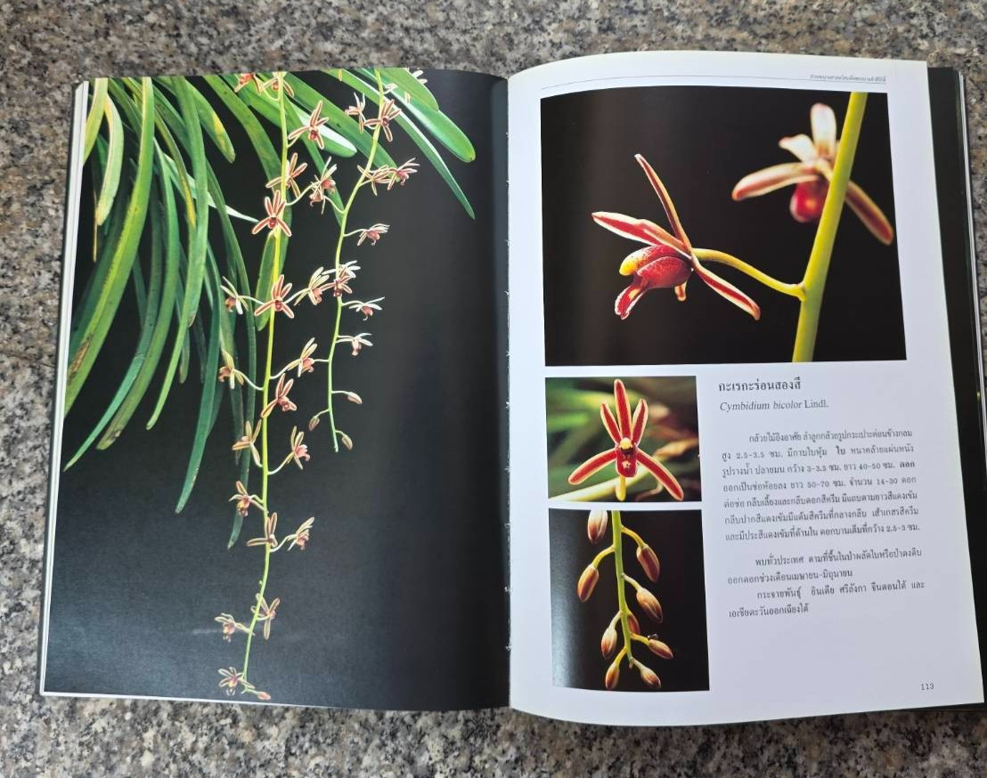 Hardcover book featuring all ” Thai orchids. ” ( Hardcover)