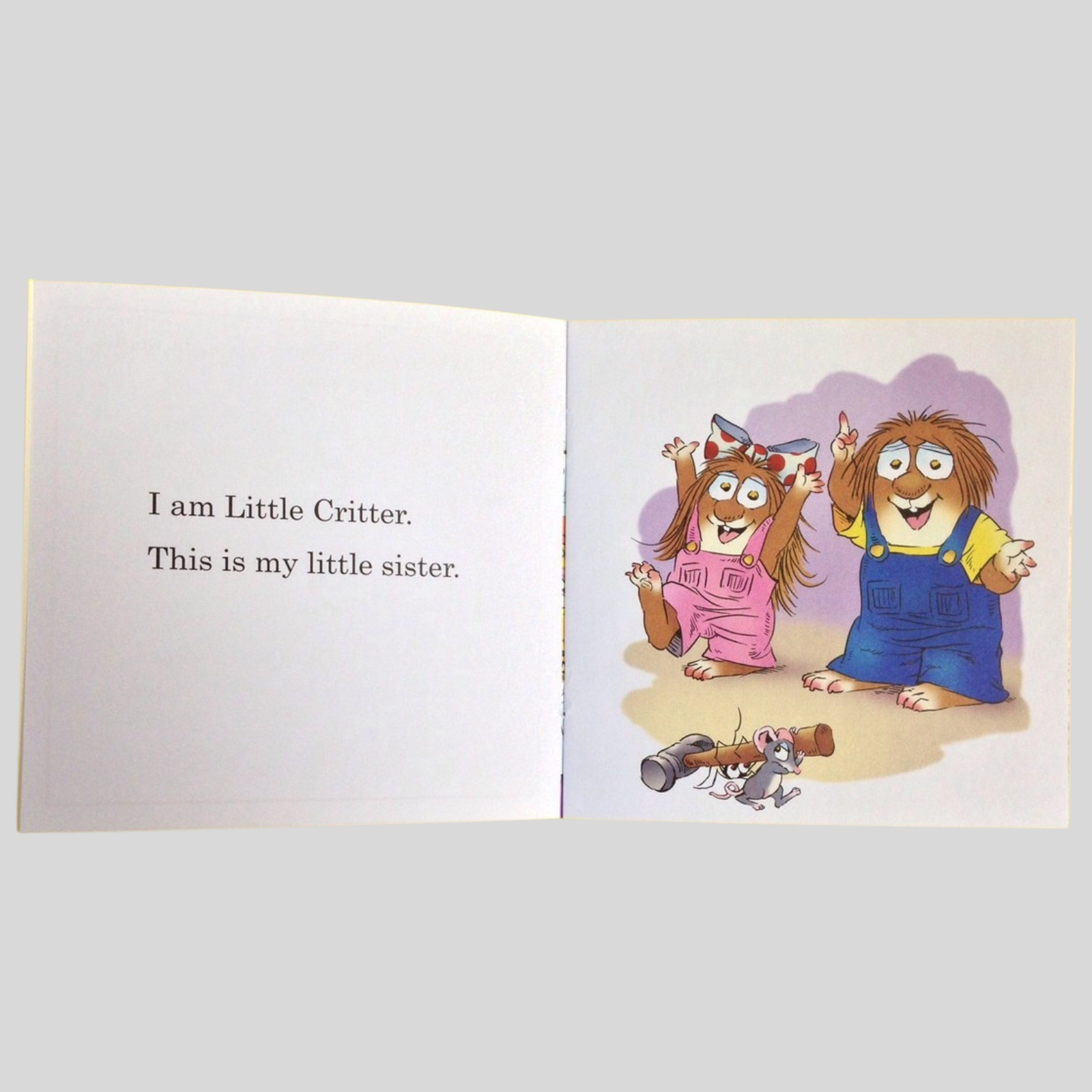 Little Critter Phonics I Can Read Level 1 Books Set Lot of 12