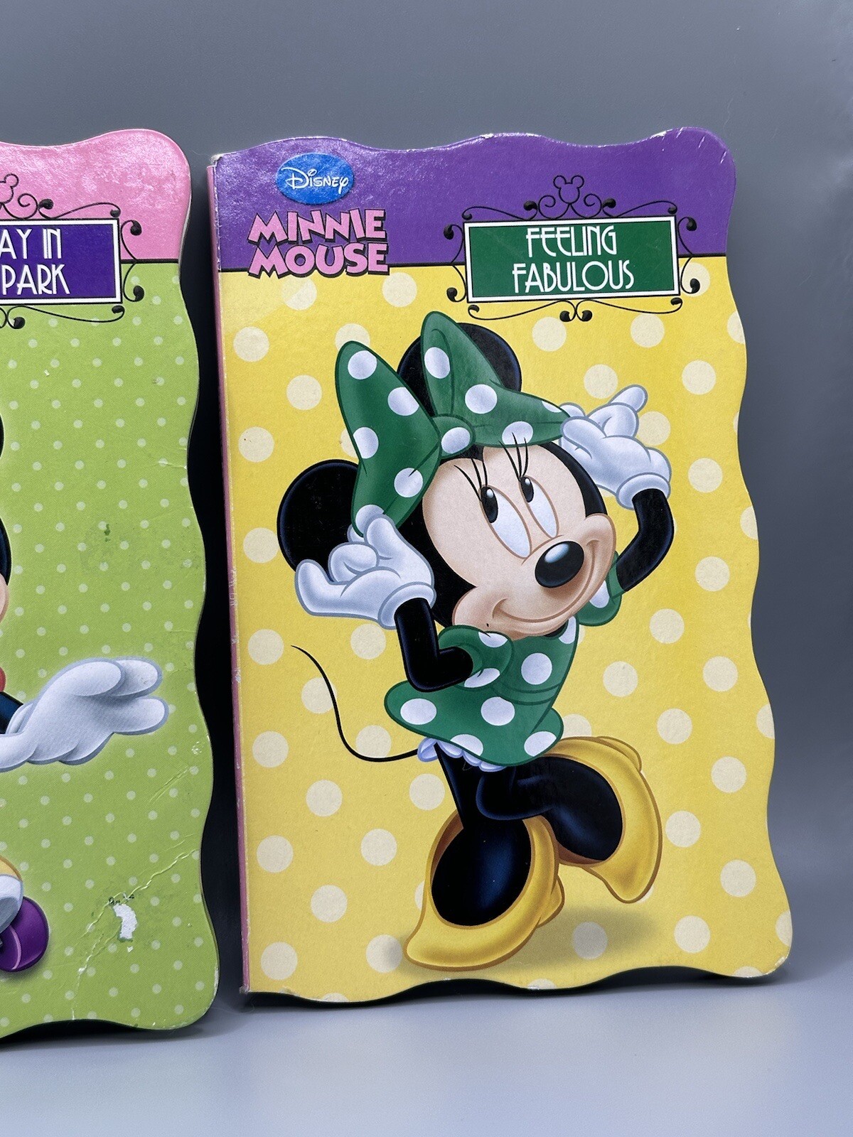 Disney Minnie Mouse Lot Of 2 Book 2013 Feeling Fabulous Day In The Park READ