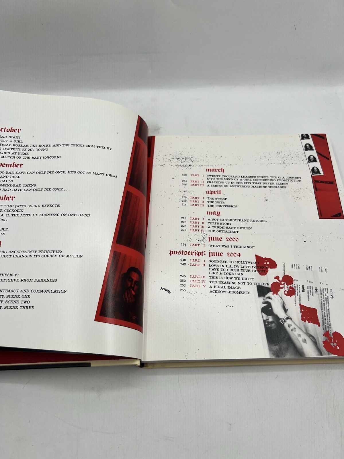 Don’t Try This at Home: A Year in the Life of Dave Navarro 1st Edition/1st Print