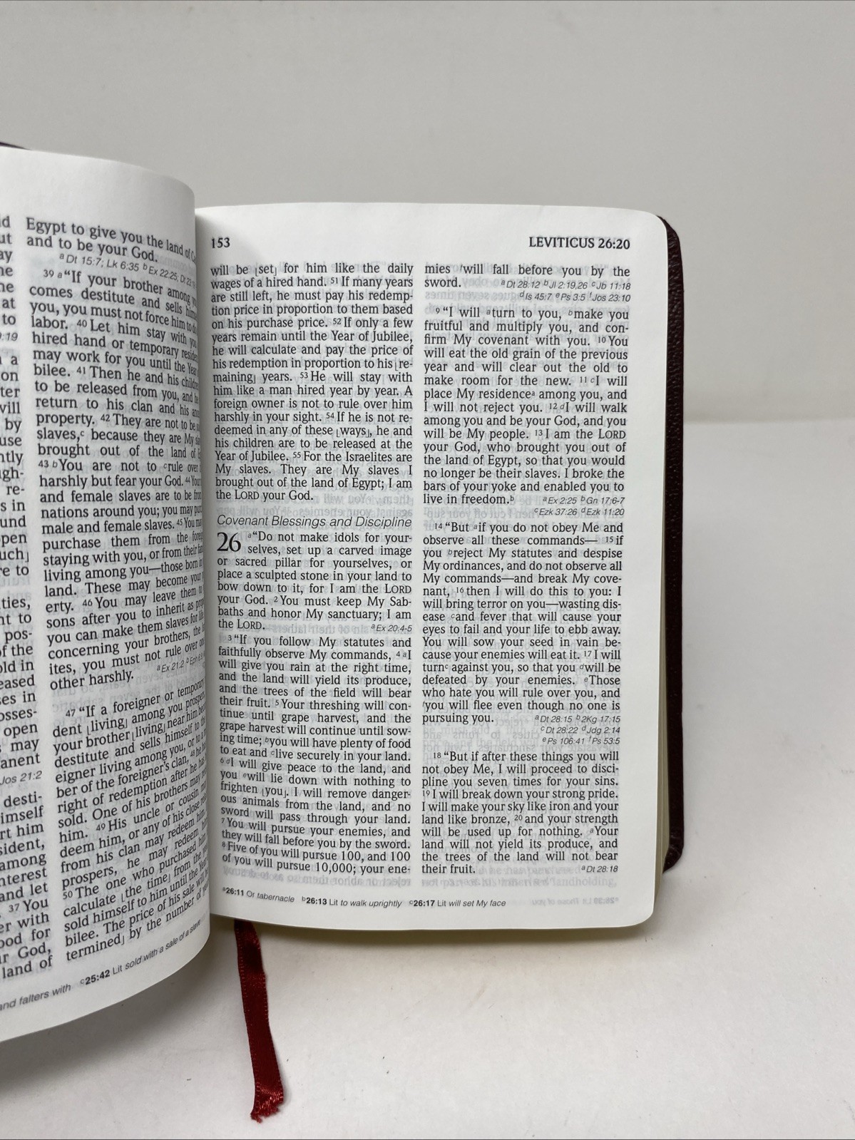 HCSB Large Print Compact Bible • Burgundy Bonded Leather (2005, Holman)