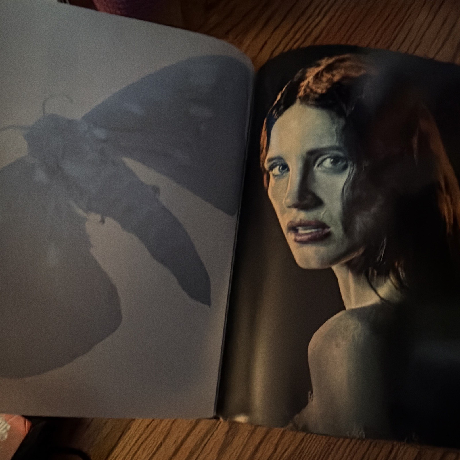 Mark Salisbury Crimson Peak: The Art of Darkness 2015 Hardcover Insight