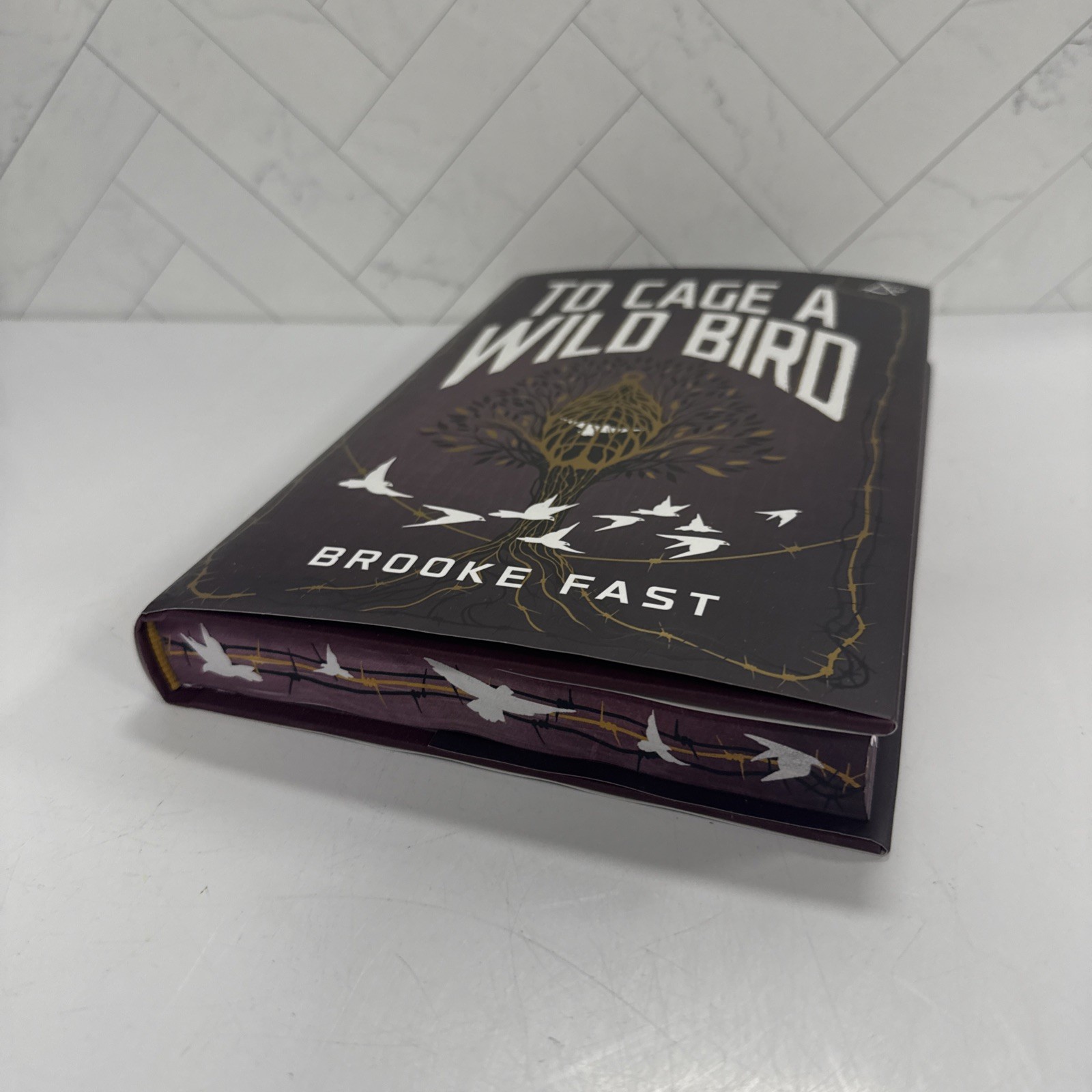 To Cage A Wild Bird By Brooke Fast Allurial Special Edition Edges Hardcover