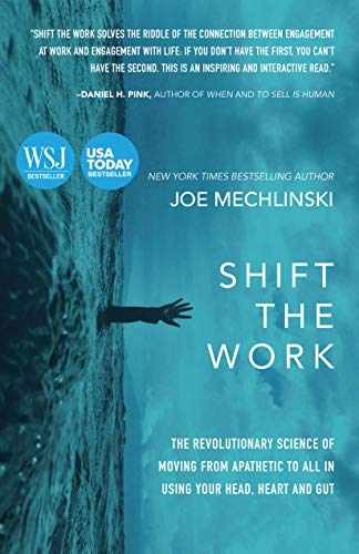 Shift the Work: The – Library Binding, by Mechlinski Joe – Very Good u