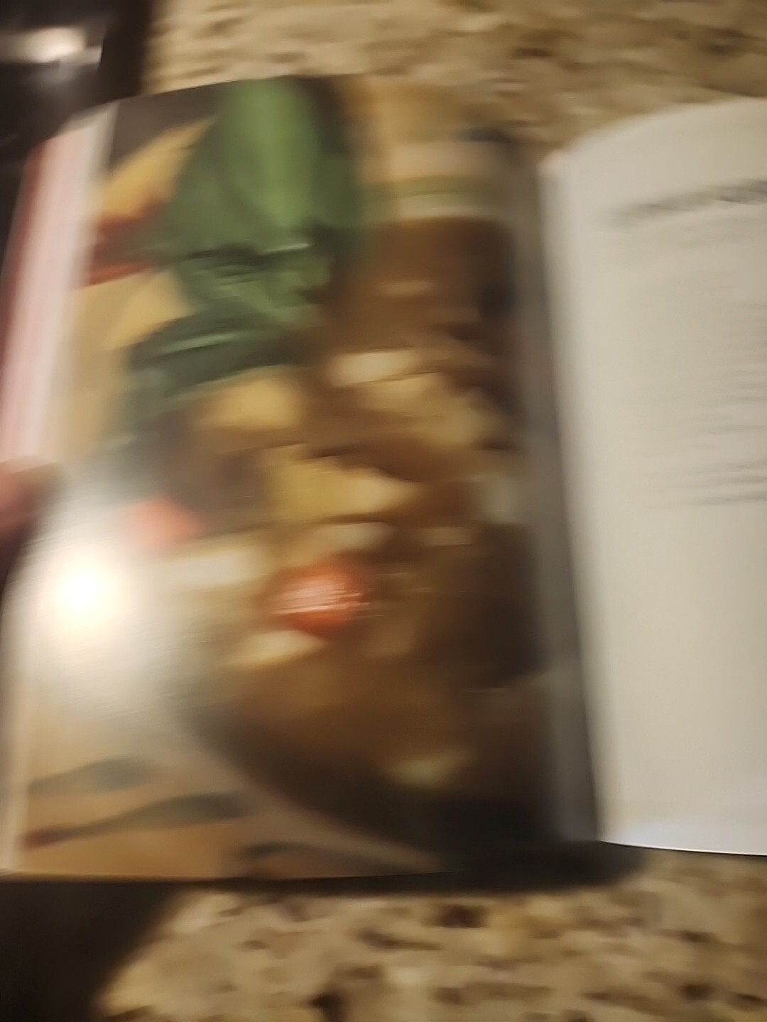The China Study Cookbook 120 Whole Food Plant-Based Recipes 2013 284 pgs D7
