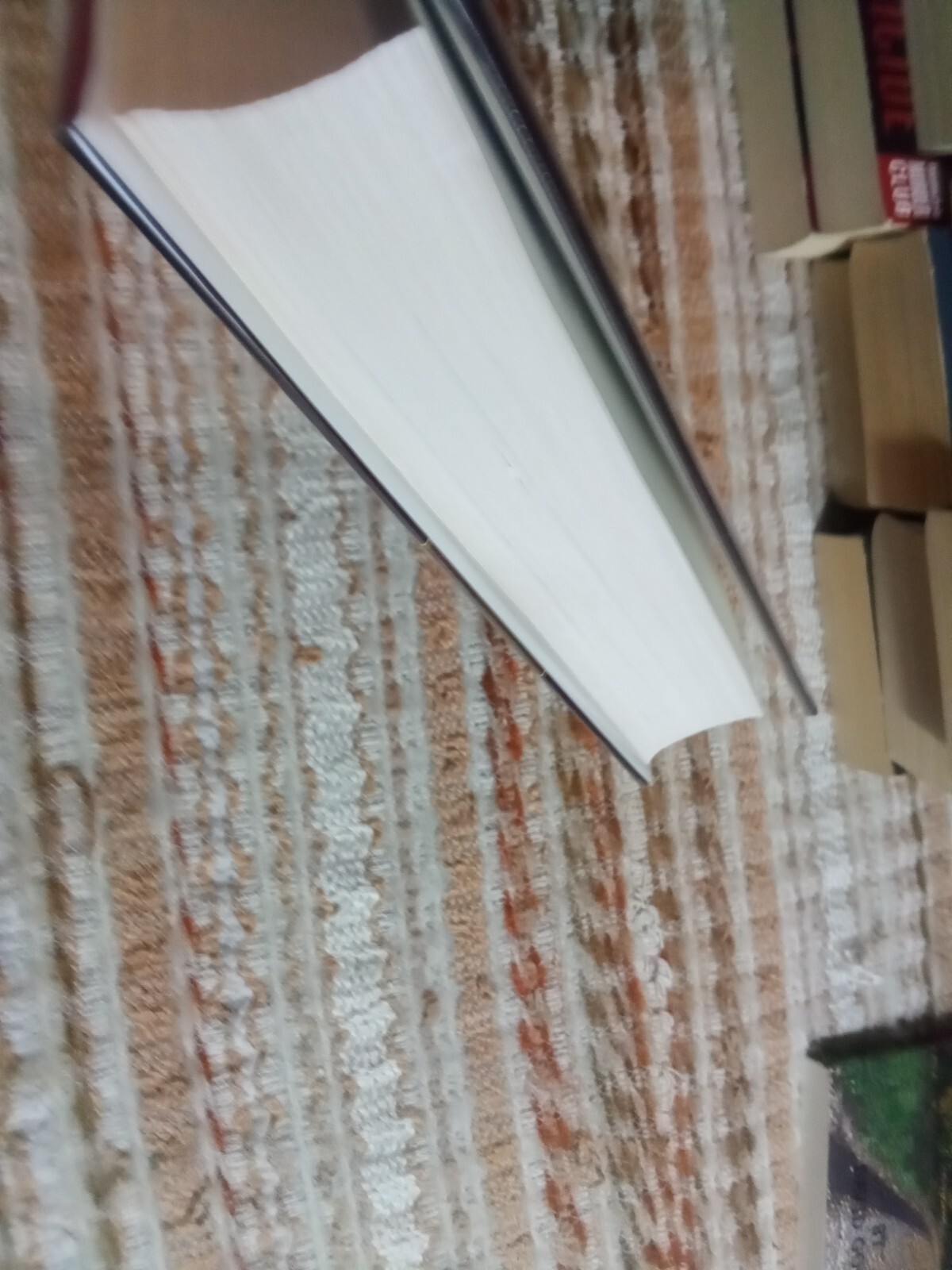 The Chinese in America: A Narrative History by Iris Chang (2003,HCDJ) identity