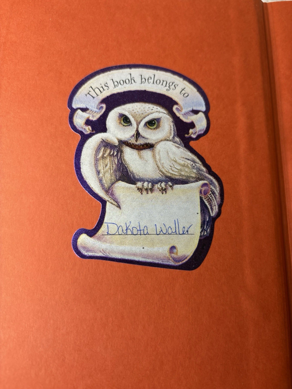 Harry Potter And The Prisoner Of Azkaban Hardcover Sleeve 1999 1st Edition