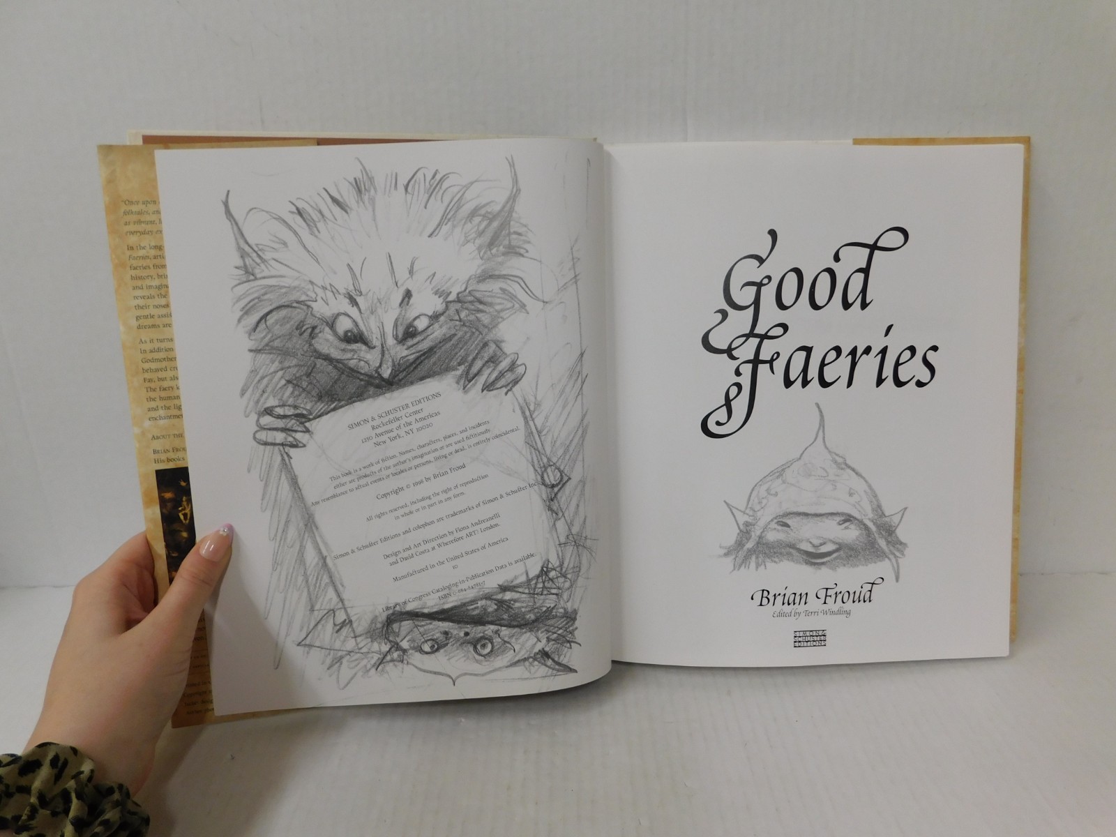 Good Faeries-Bad Faeries by Brian Froud Hardcover 1998