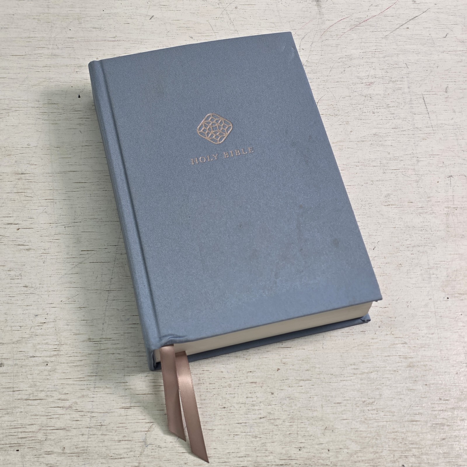 NRSV Catholic Bible Press Blue Note Taking Journal Cloth Board Canvas Hardcover