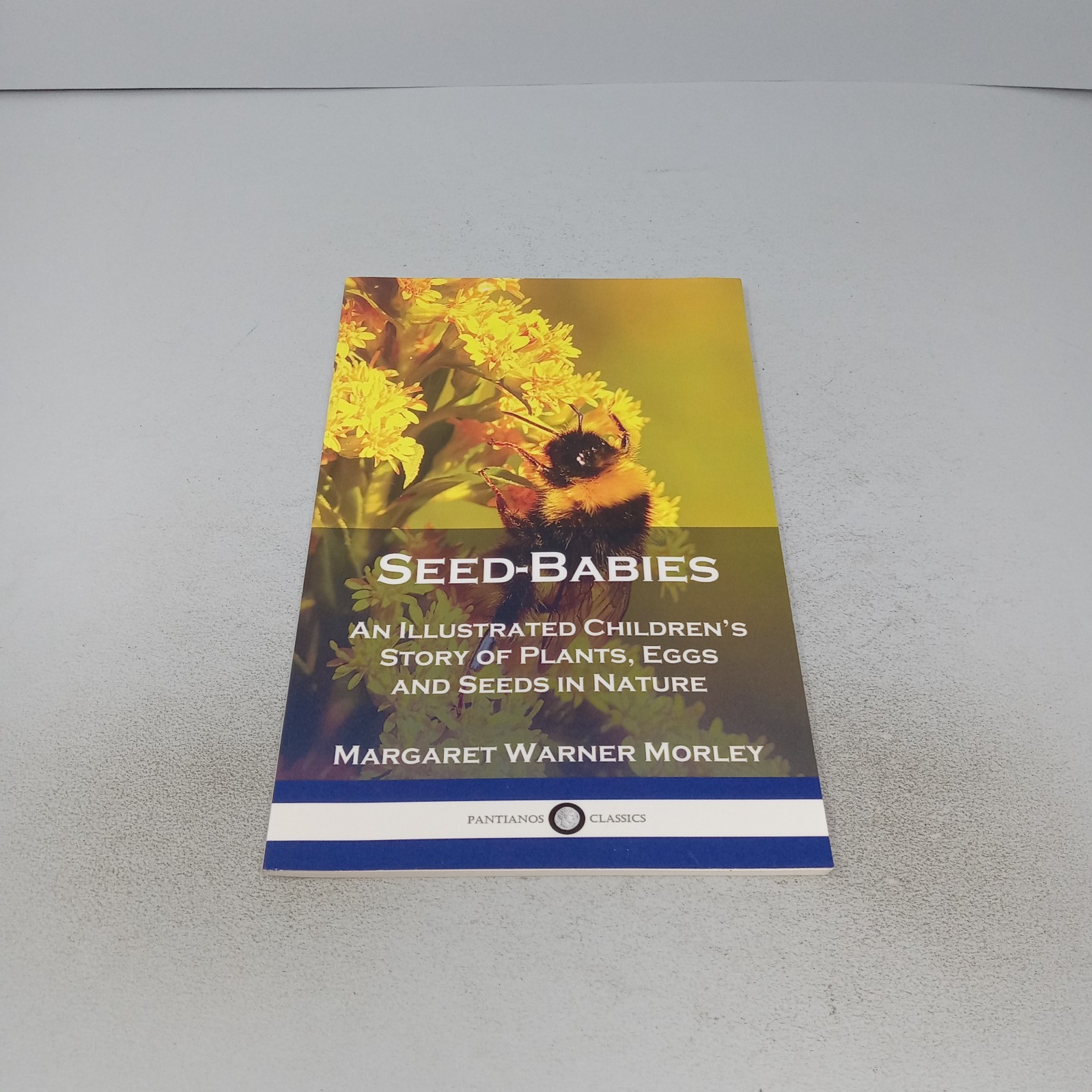 Seed-Babies: An Illustrated Children’s Story of Plants, Eggs and Seeds in Nature