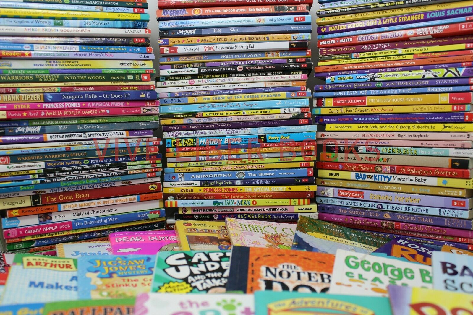 Bulk/Huge Lot of 300 of Children’s Kids Chapter Books – Random – Free Shipping!