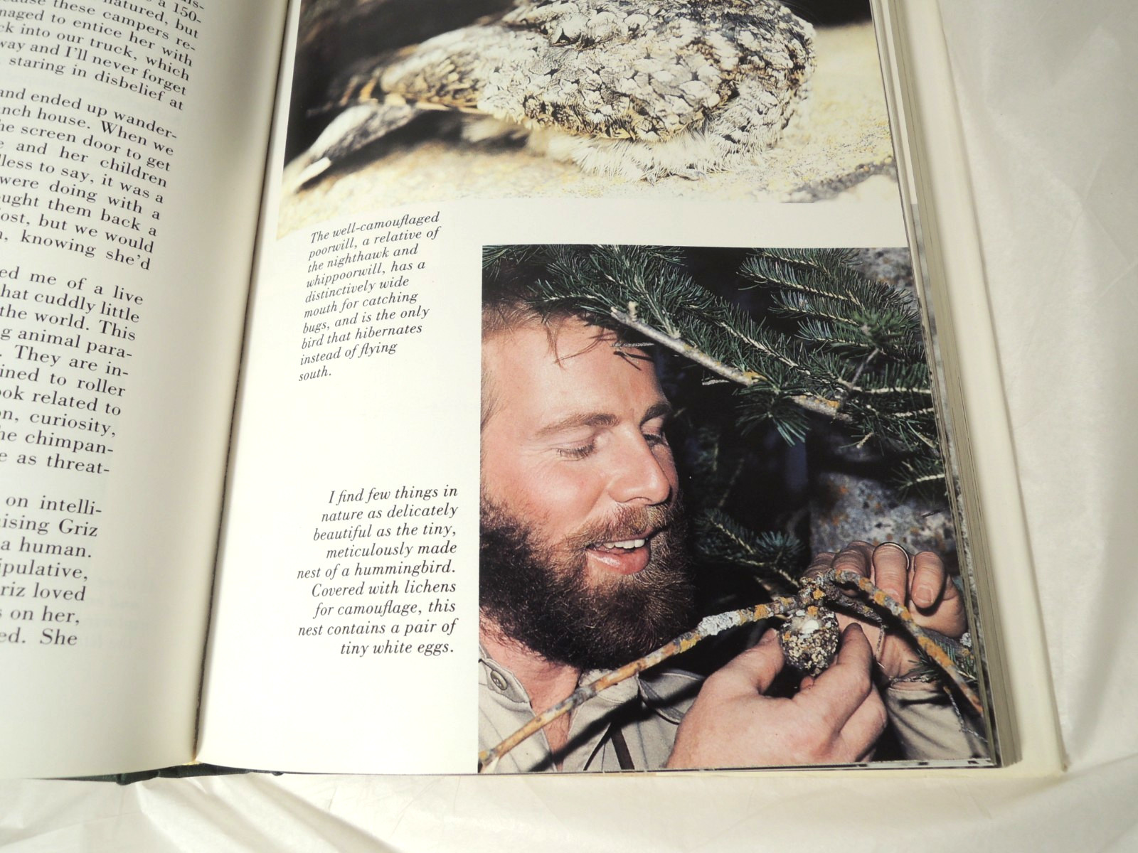 Marty Stouffer’s Wild America Signed by Marty Stouffer 1988 Hardcover 1st Ed.