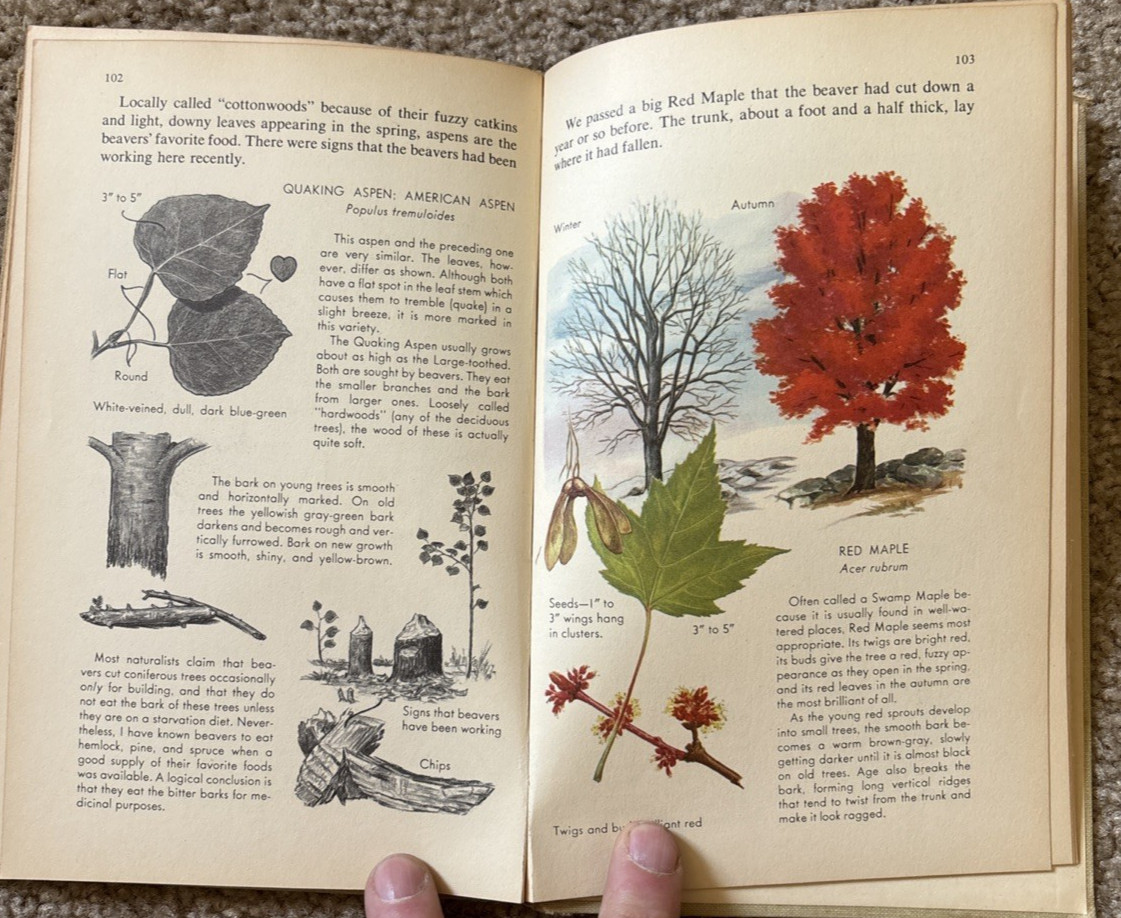 VTG Nature Notebook Robert Candy 1953 HC