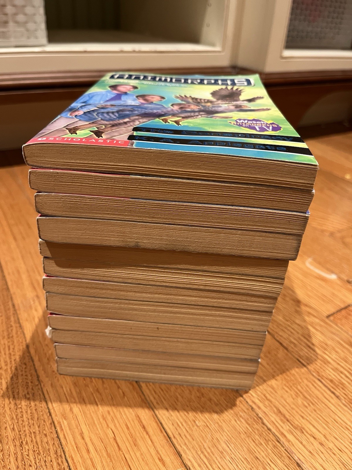 Lot of 12 Animorphs Paperback Books K.A. Applegate Megamorphs Vintage