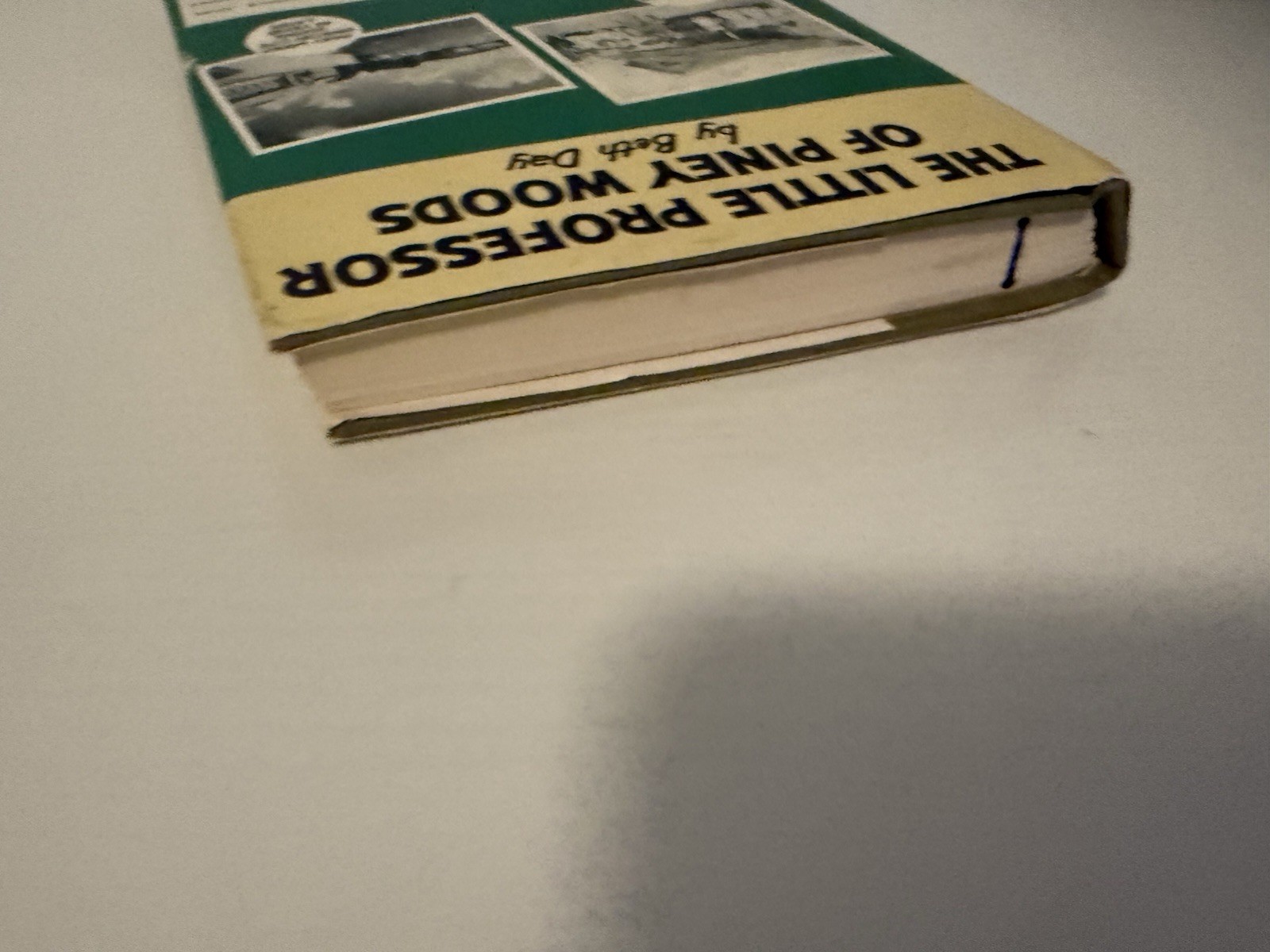 Beth Day LITTLE PROFESSOR OF PINEY WOODS 1955 HC/DJ 1st + Bonus Pamphlet
