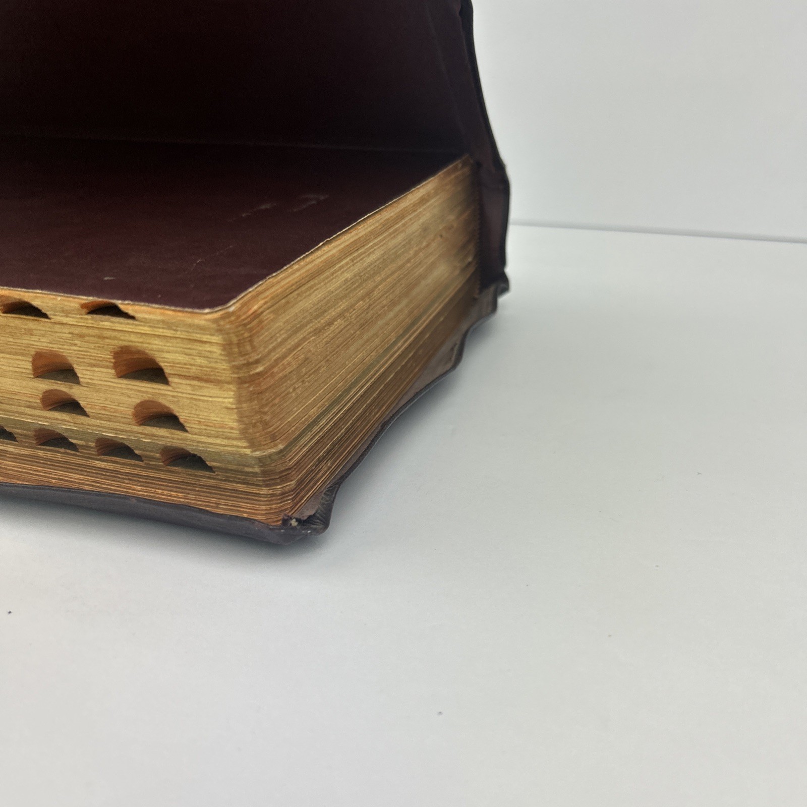 The Holy Bible: Holy Family Edition 1950 The Catholic Press Vintage Illustrated