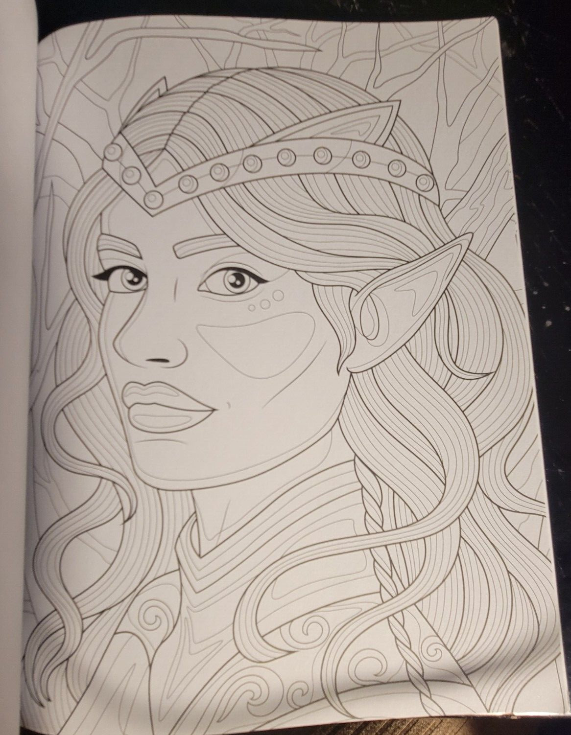 COLORING MYTH & MAGIC Vol 3 Adult Coloring Book With 47 Prints Ready To Frame